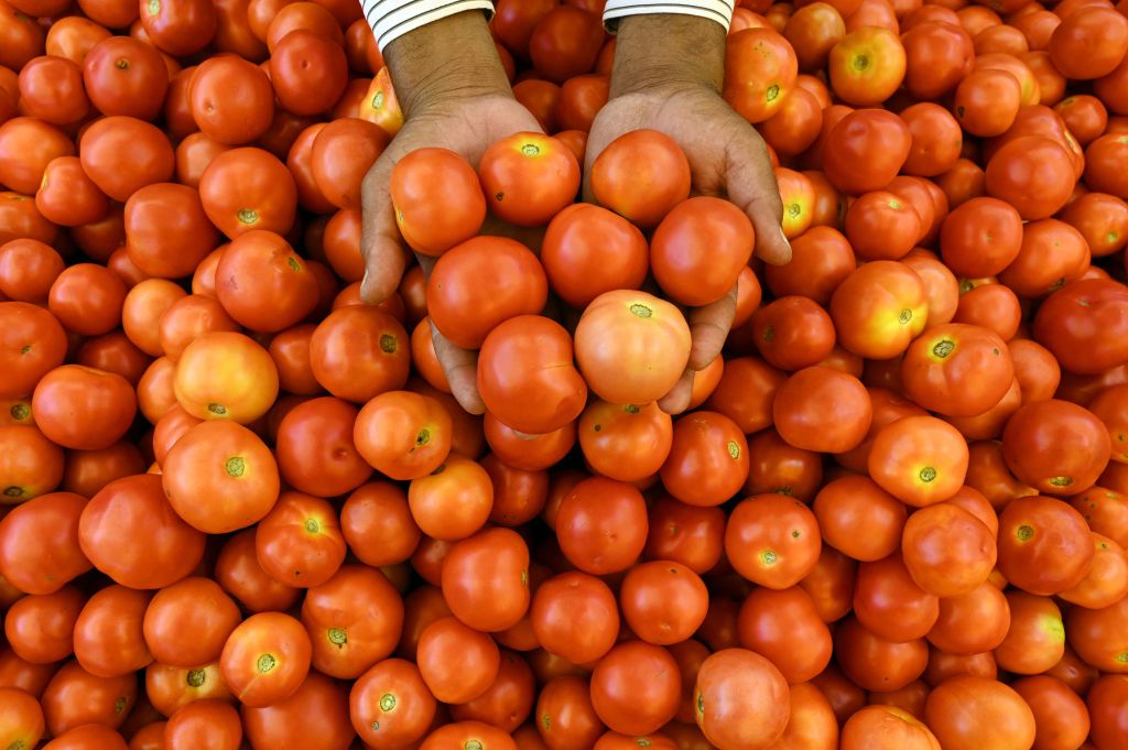 INDIA-ECONOMY