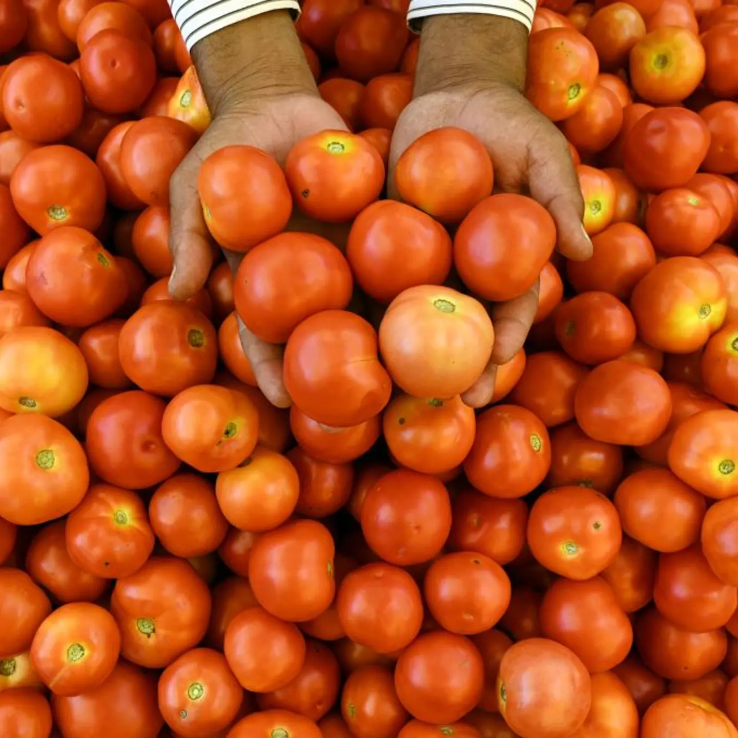 INDIA-ECONOMY