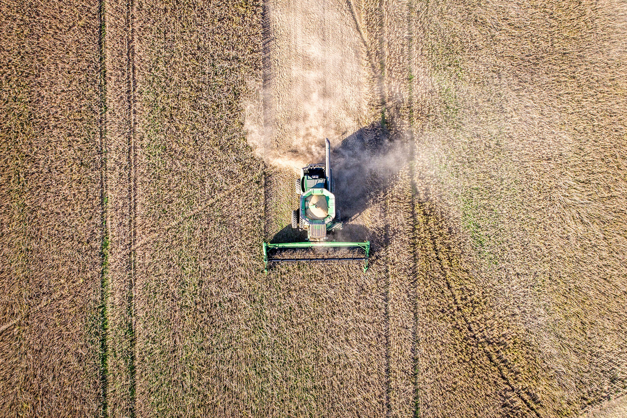 Aerial view looking directly down at a combine harvester driving