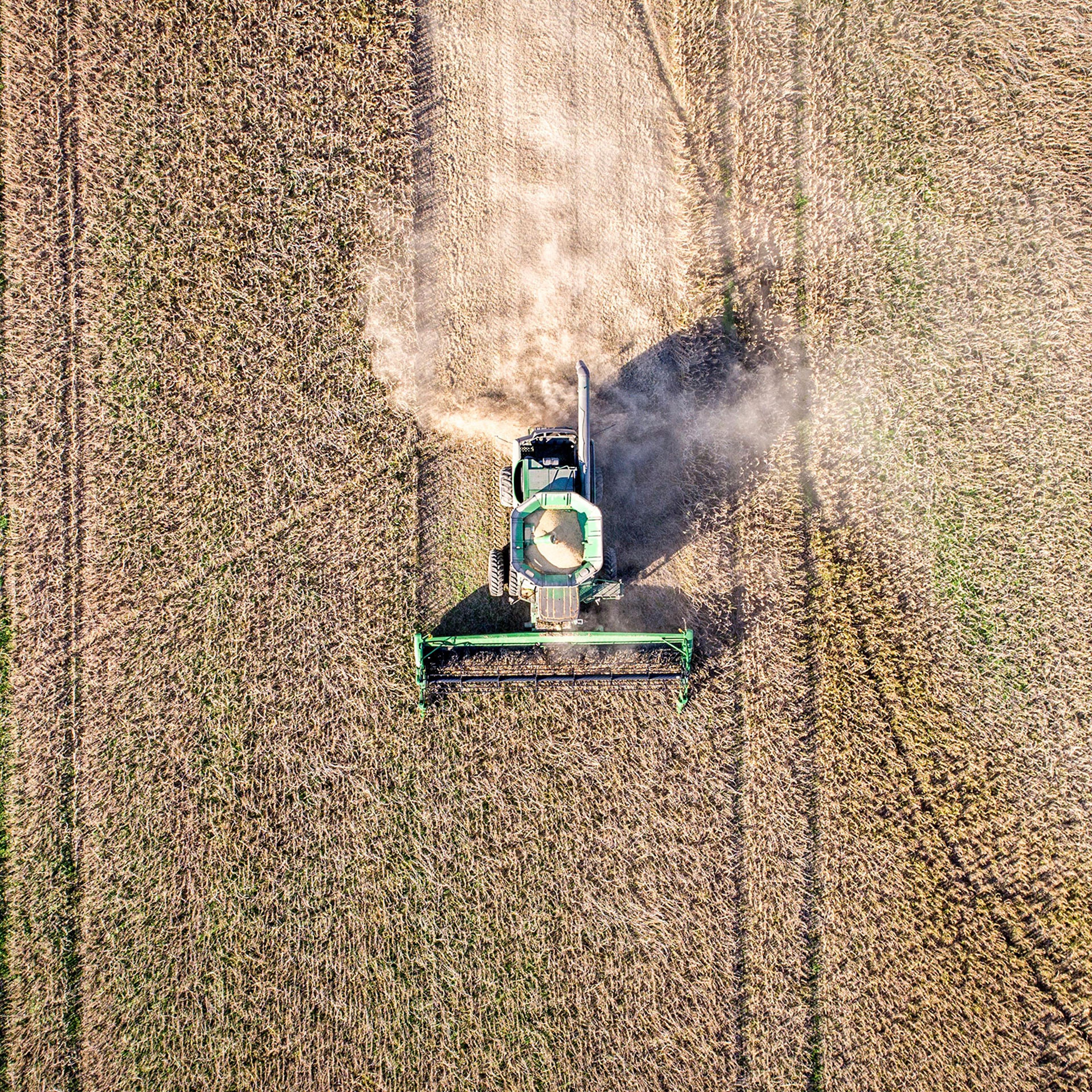 Aerial view looking directly down at a combine harvester driving