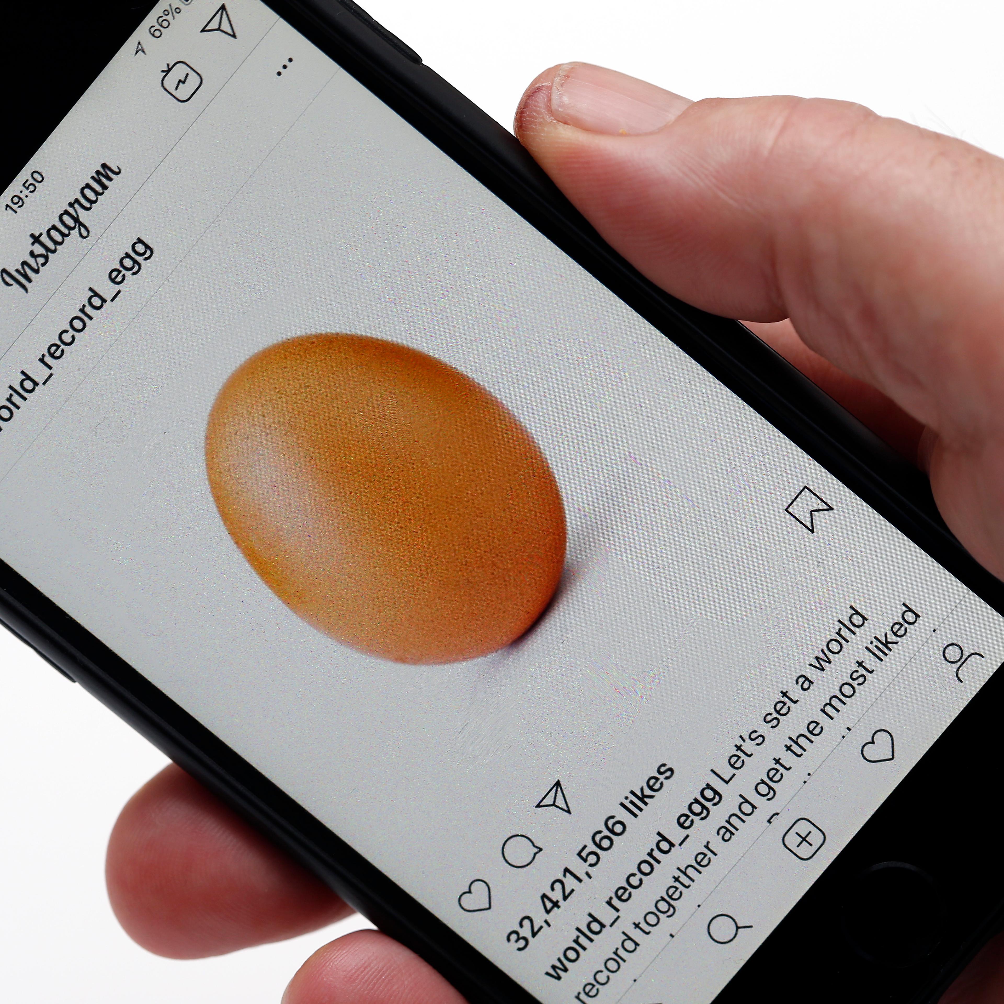 An Egg Becomes The Most Likes Instagram Post : Illustration