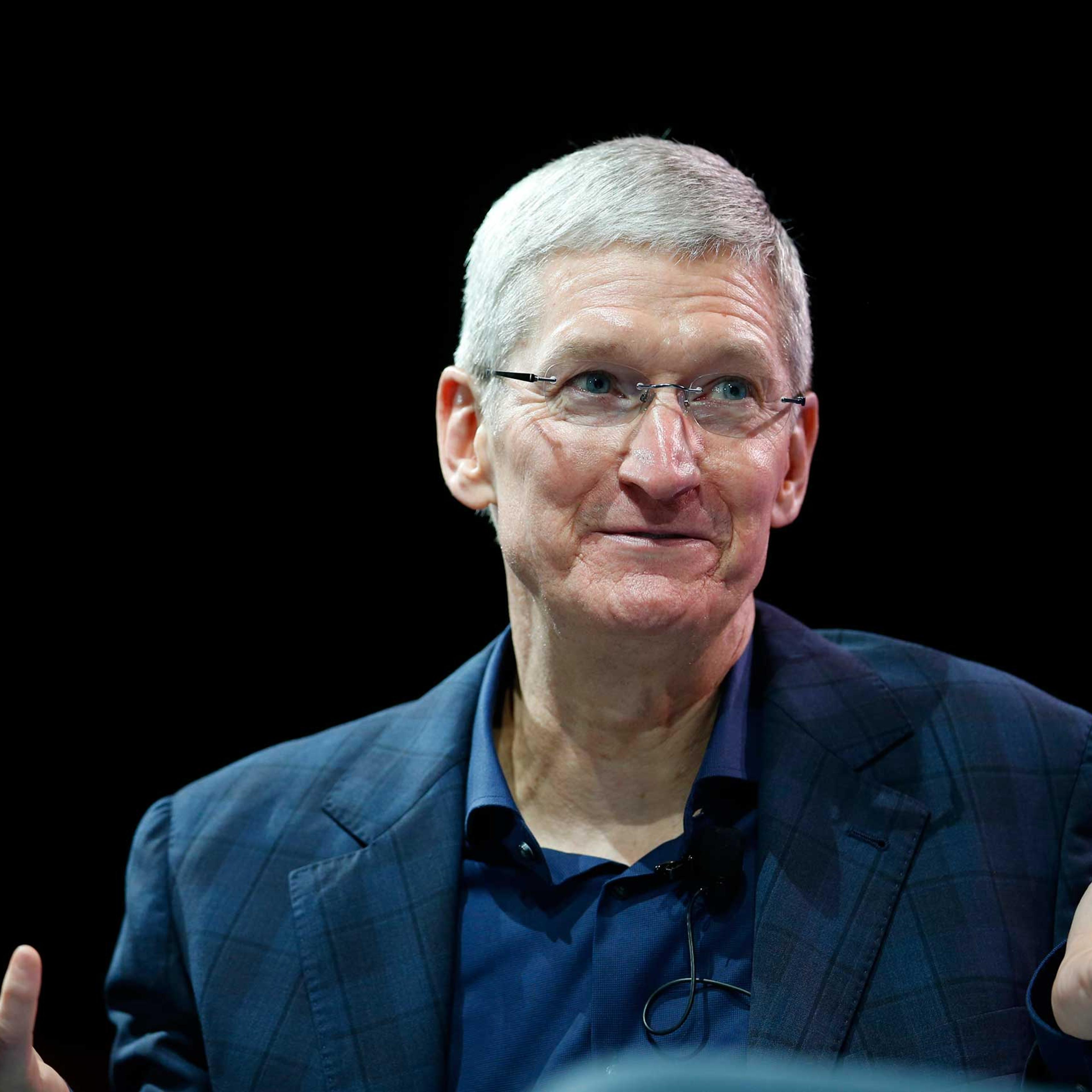 Apple CEO Tim Cook speaks at the WSJD Live conference in Laguna Beach, Calif., Oct. 27, 2014.