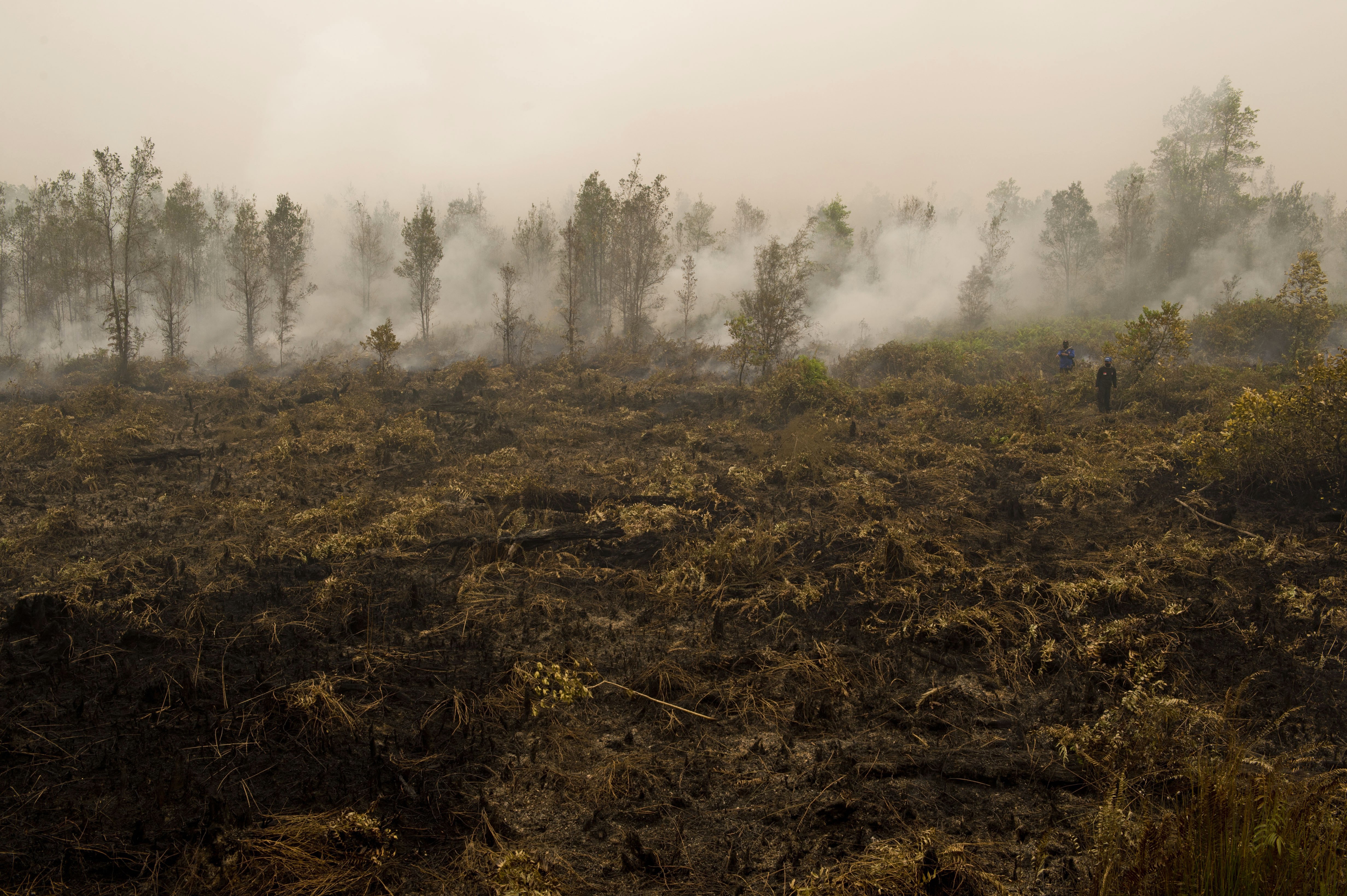Indonesia Fire Haze