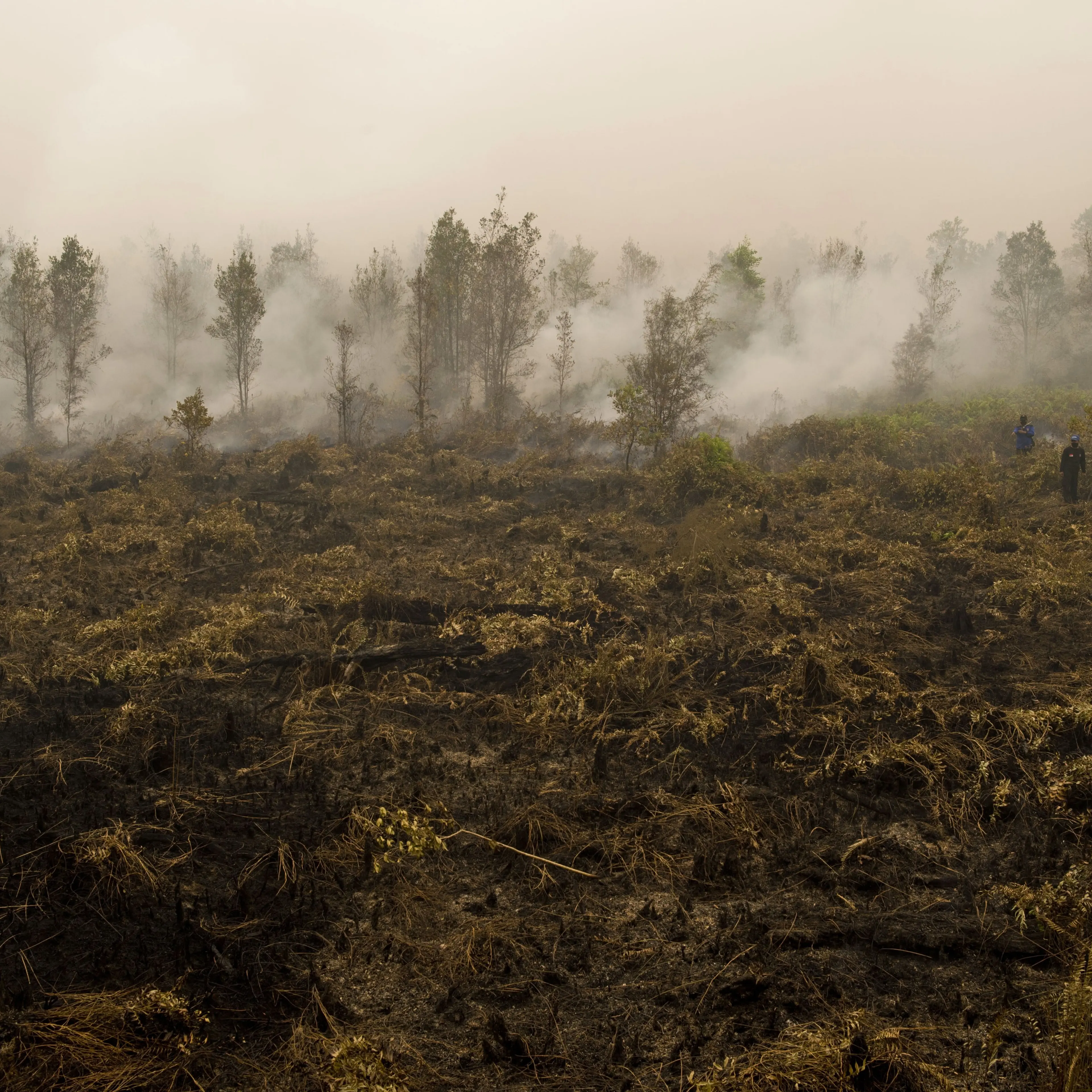 Indonesia Fire Haze