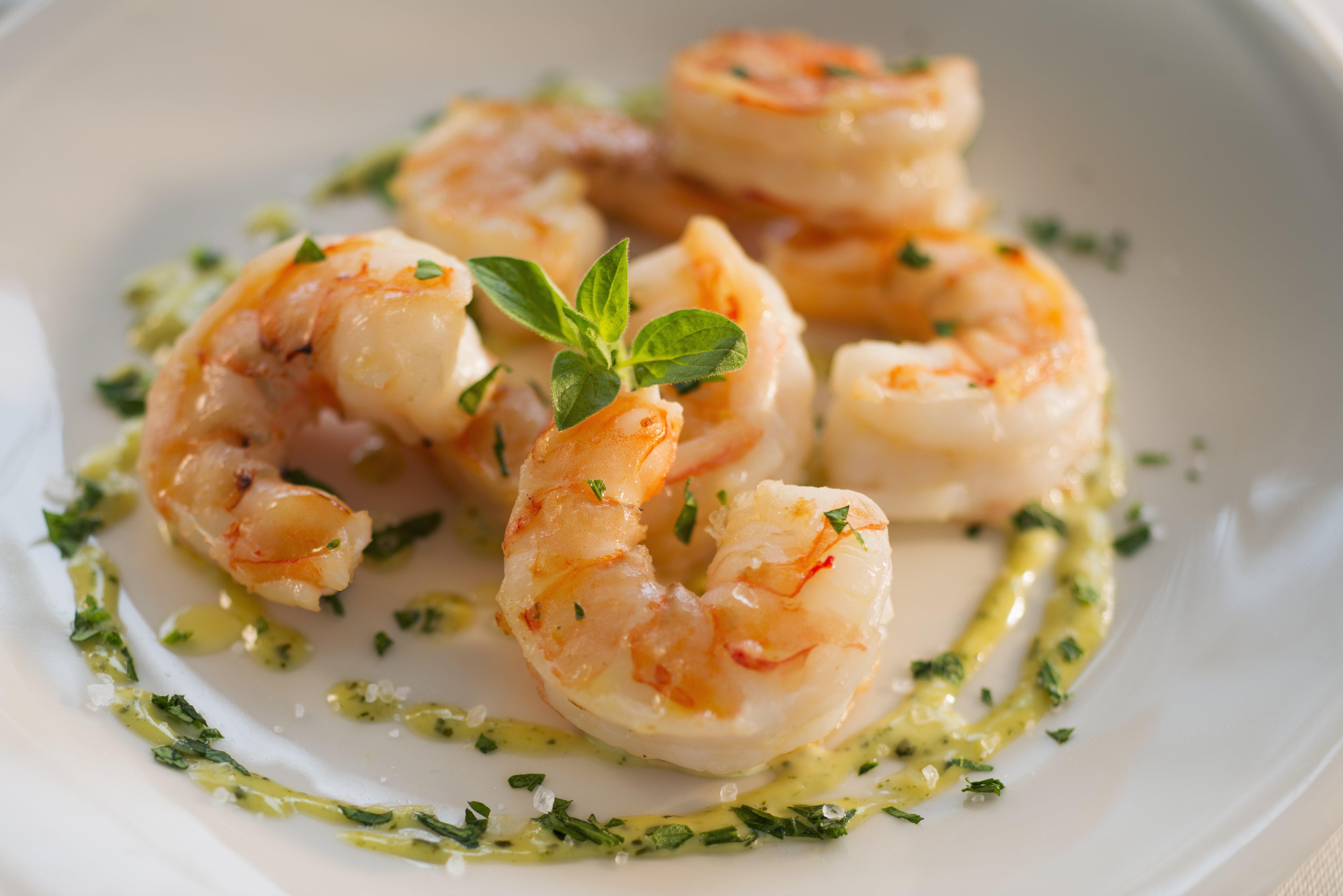 shrimp