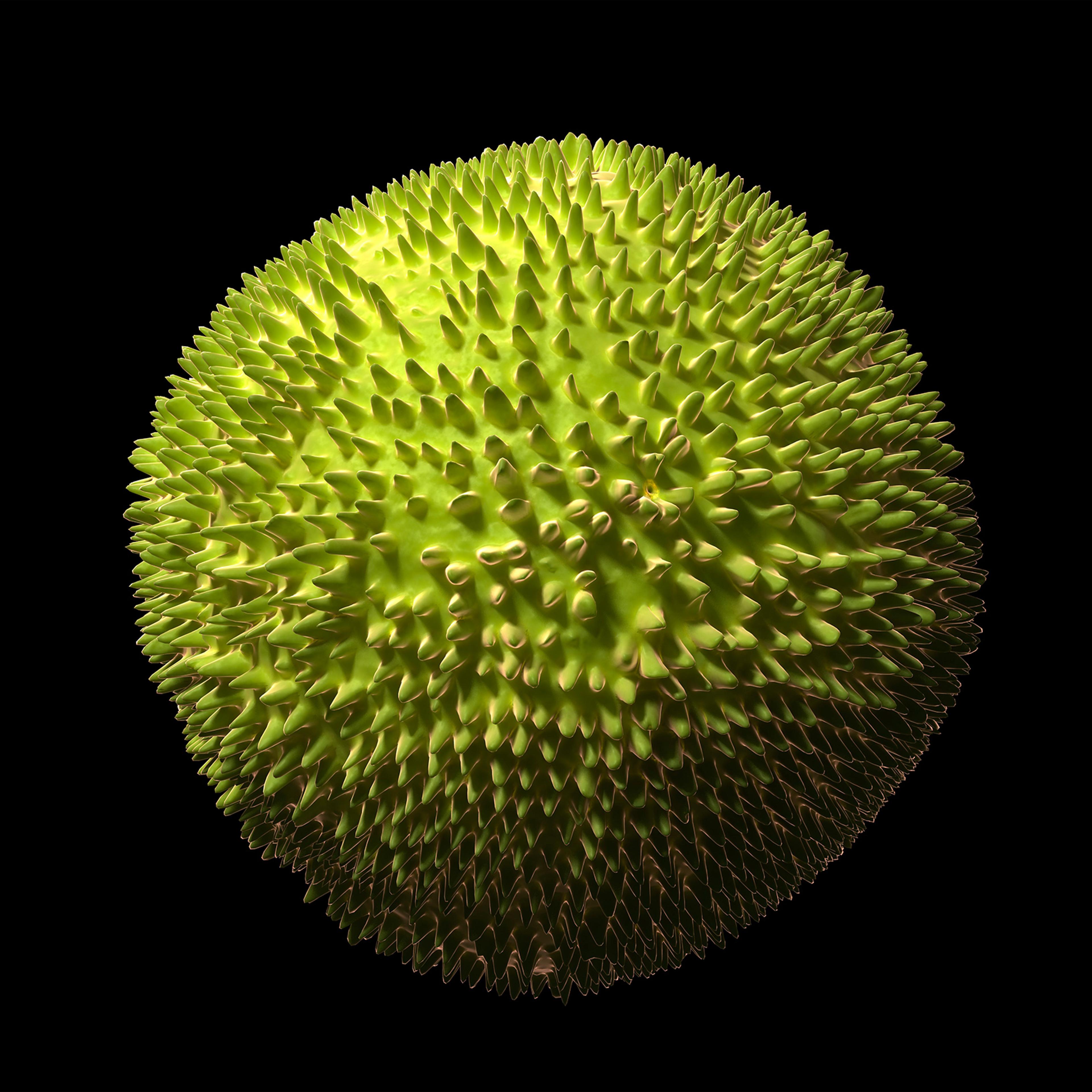A computer rendering of the Rubella virus.