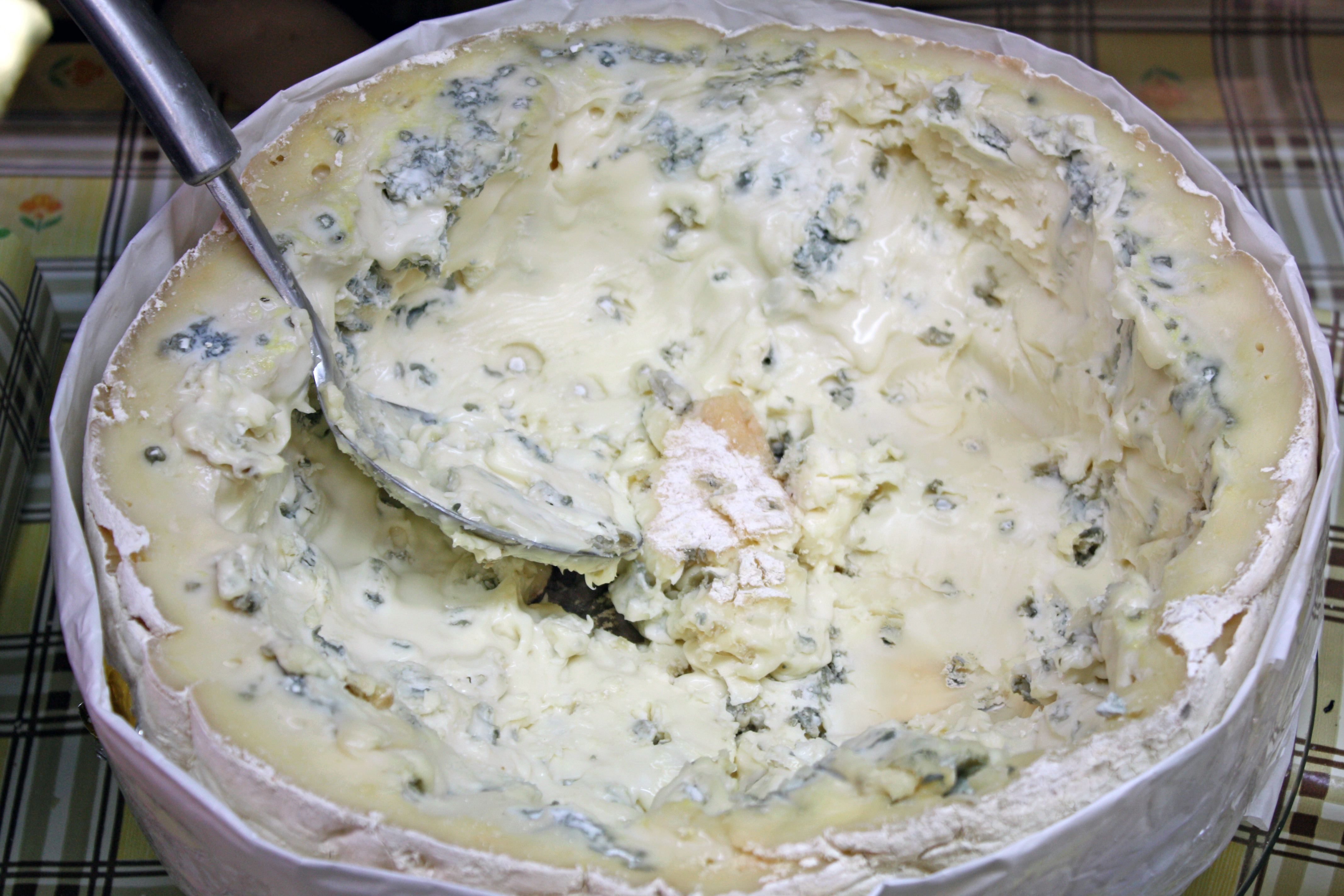 Food Italy Cheese Gorgonzola