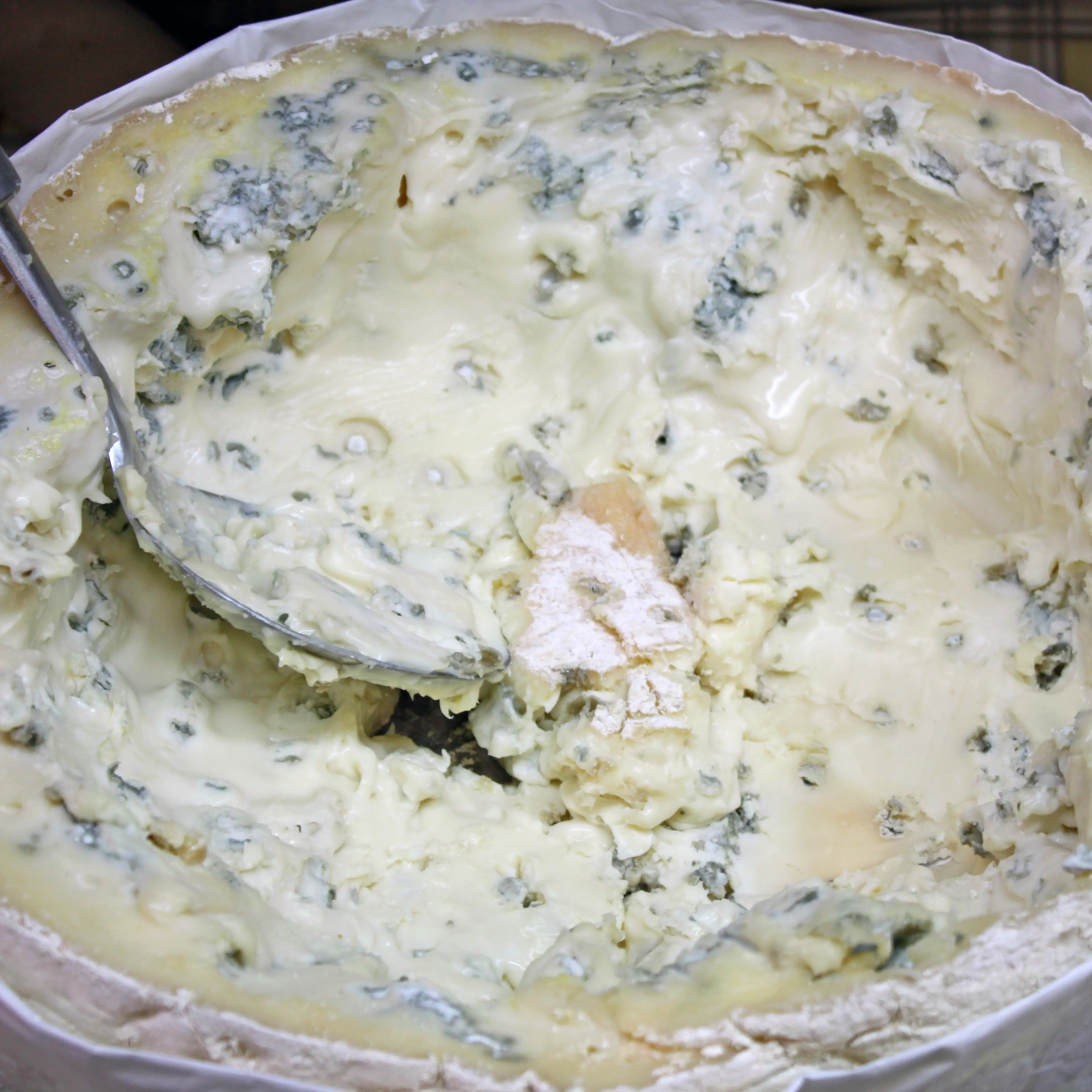 Food Italy Cheese Gorgonzola