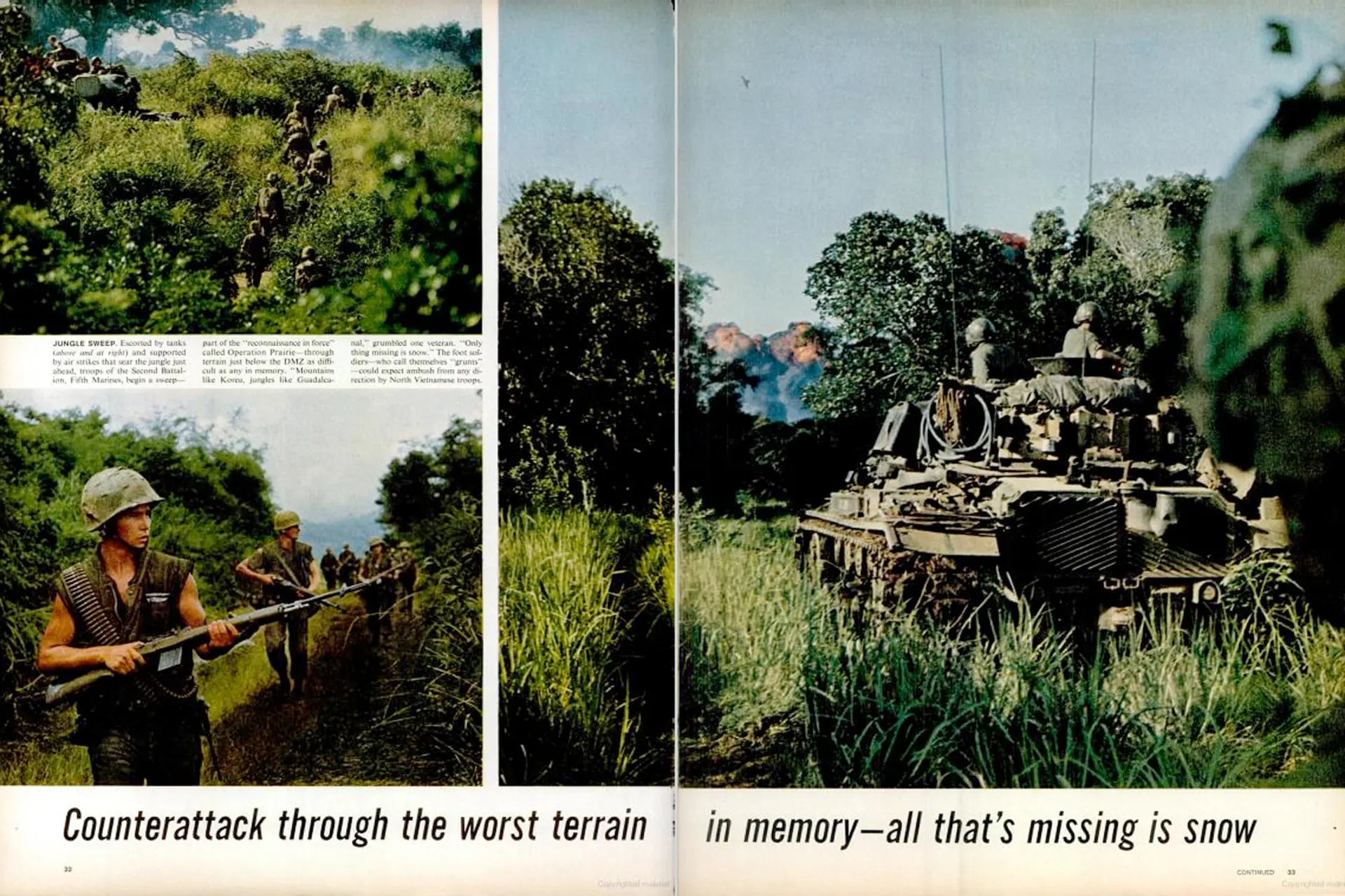 Ron Ridenhour My Lai Massacre in Vietnam: Read the Letter That Exposed It