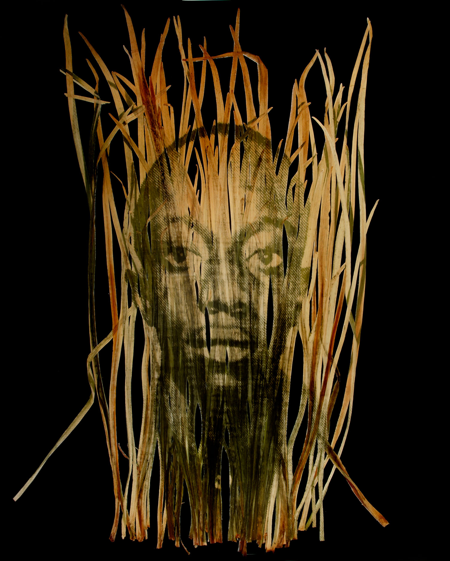 <i>Gary McColloug 20</i>, 
2008 <br><br>
Chlorophyll print on grass and resin 
17 x 14 inches
