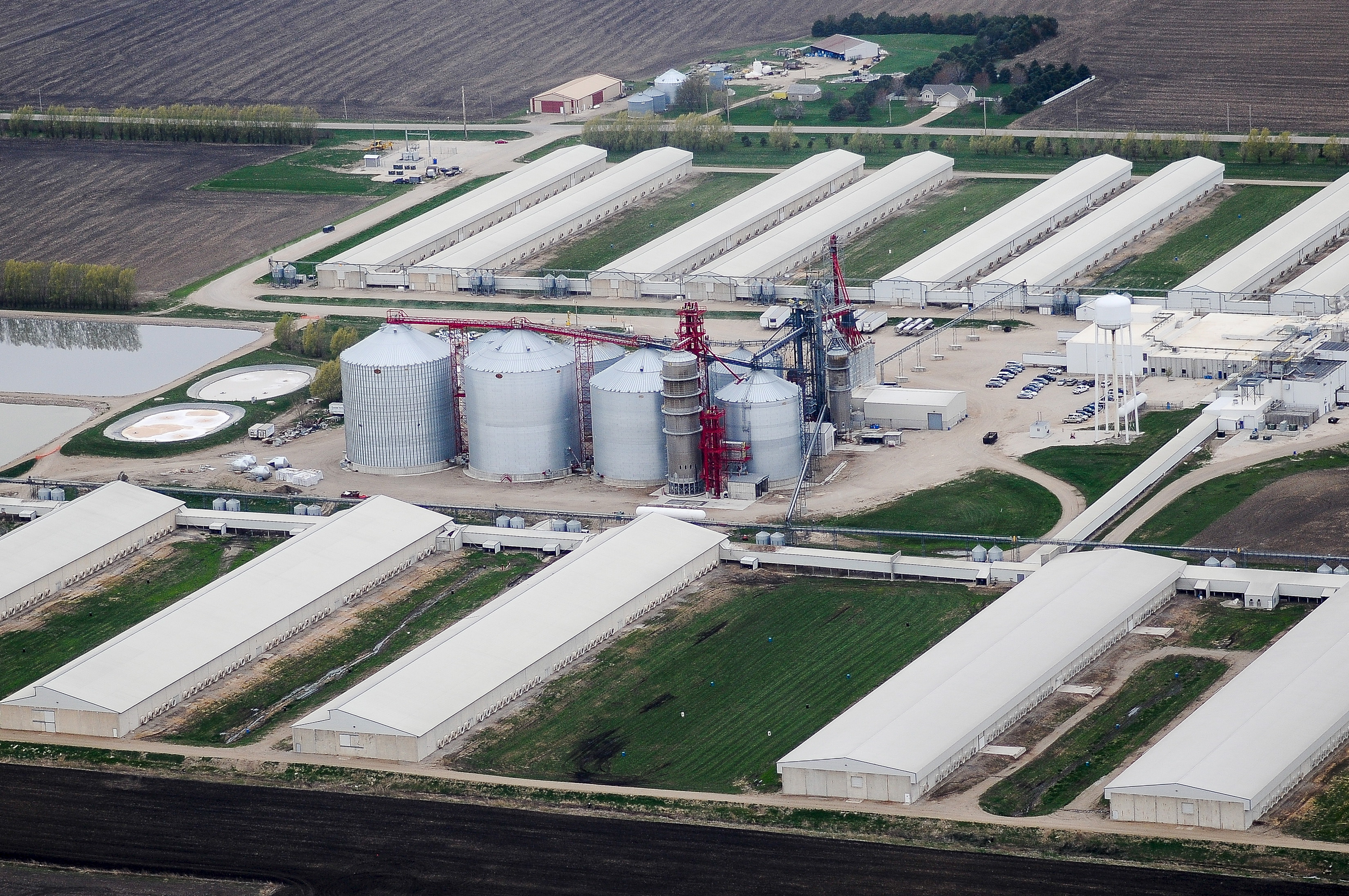 An egg-producing chicken farm run by Sunrise Farm is seen in Harris, Iowa on April 23, 2015. Iowa, the top U.S. egg-producing state, found a lethal strain of bird flu in millions of hens at an egg-laying facility on Monday, the worst case so far in a nat
