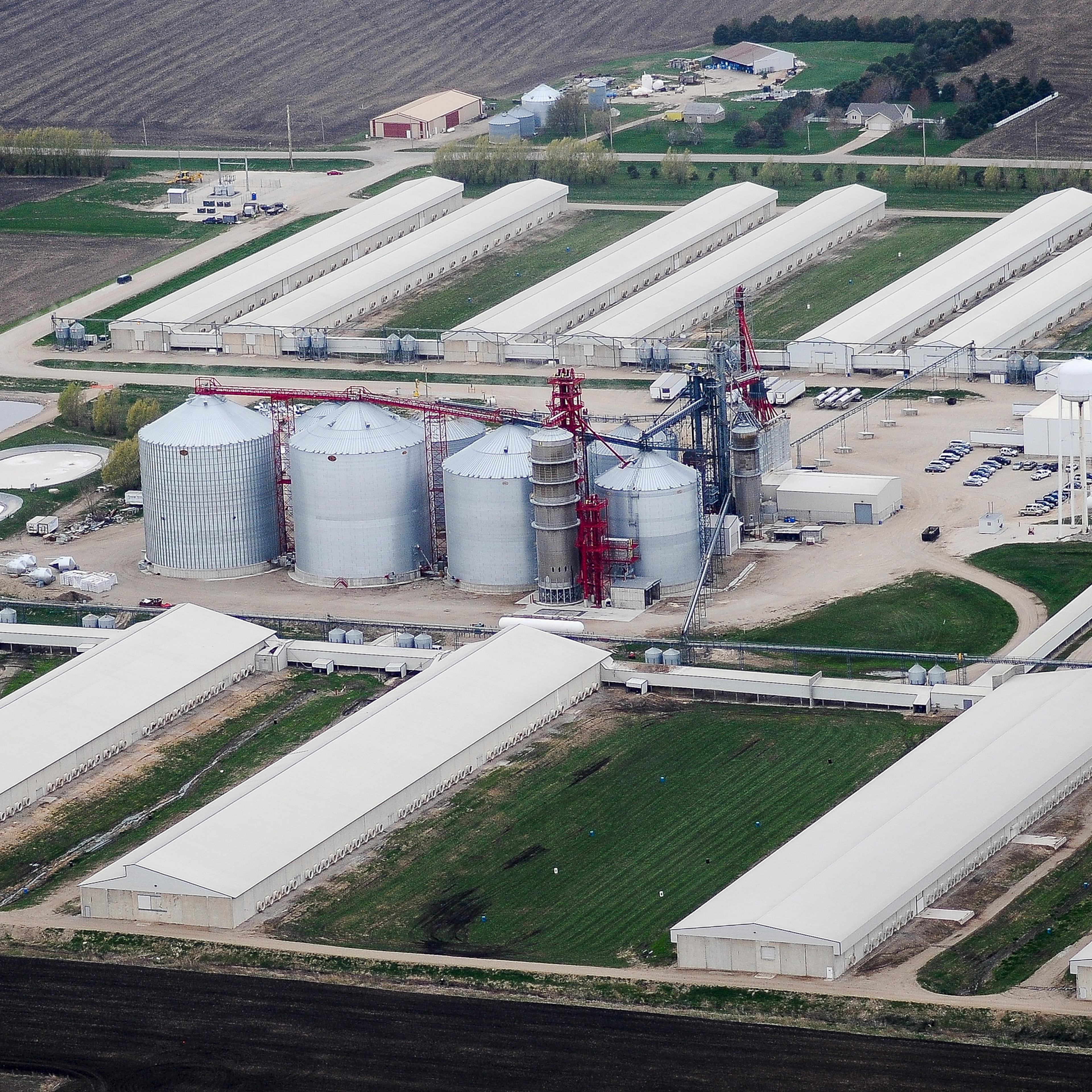 An egg-producing chicken farm run by Sunrise Farm is seen in Harris, Iowa on April 23, 2015. Iowa, the top U.S. egg-producing state, found a lethal strain of bird flu in millions of hens at an egg-laying facility on Monday, the worst case so far in a nat