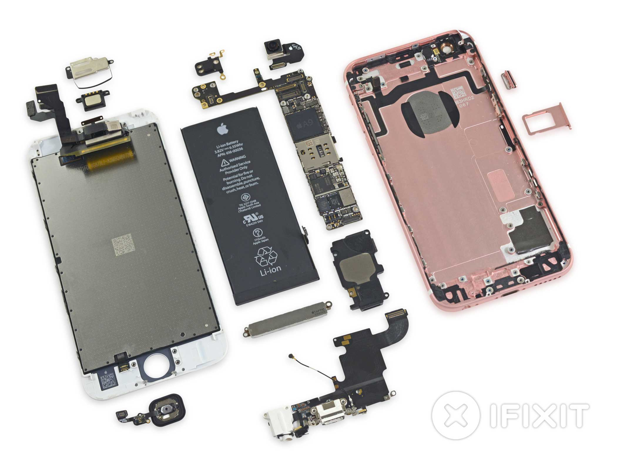 The iPhone 6s entirely dismantled.