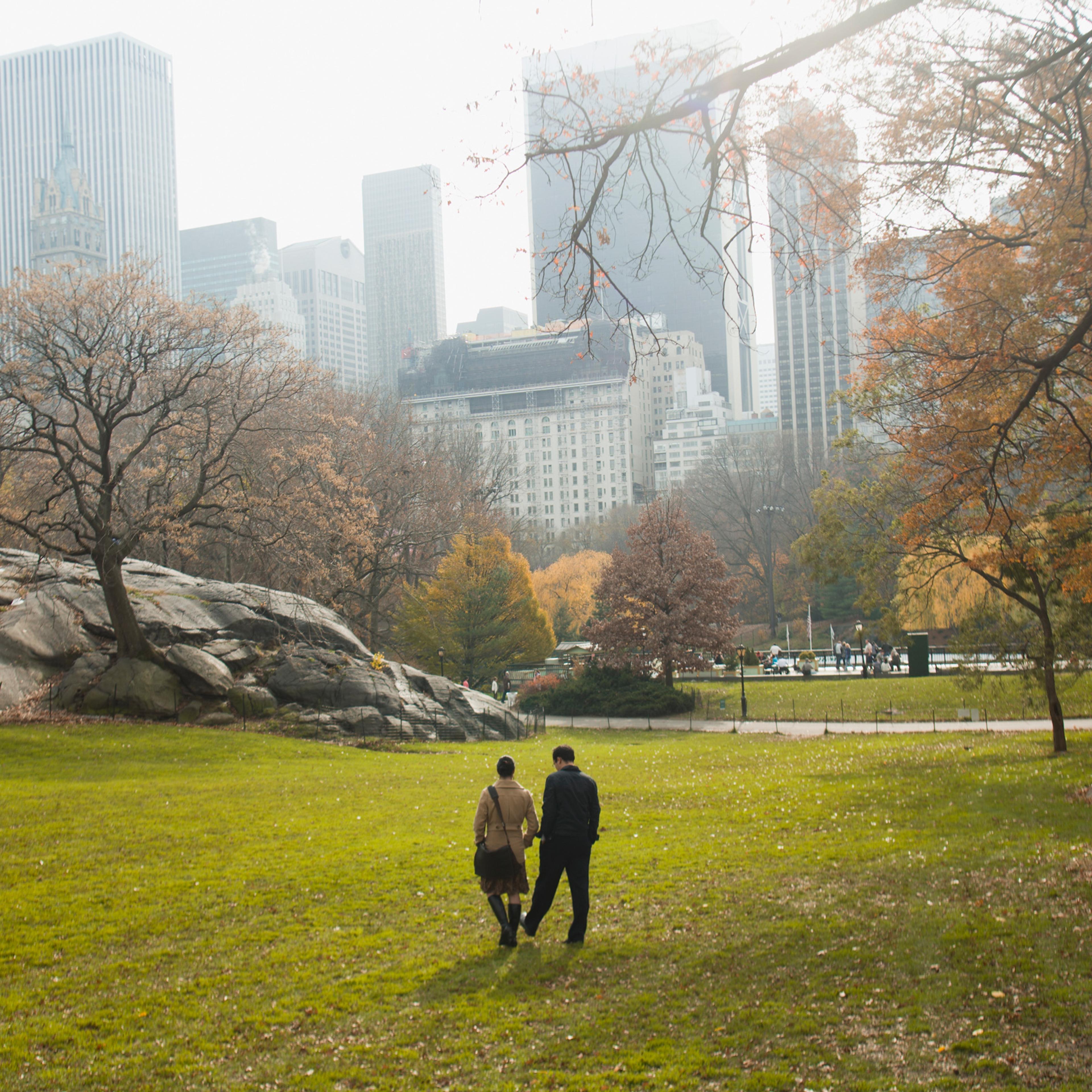 USA, New York, young couple walking in Central Park