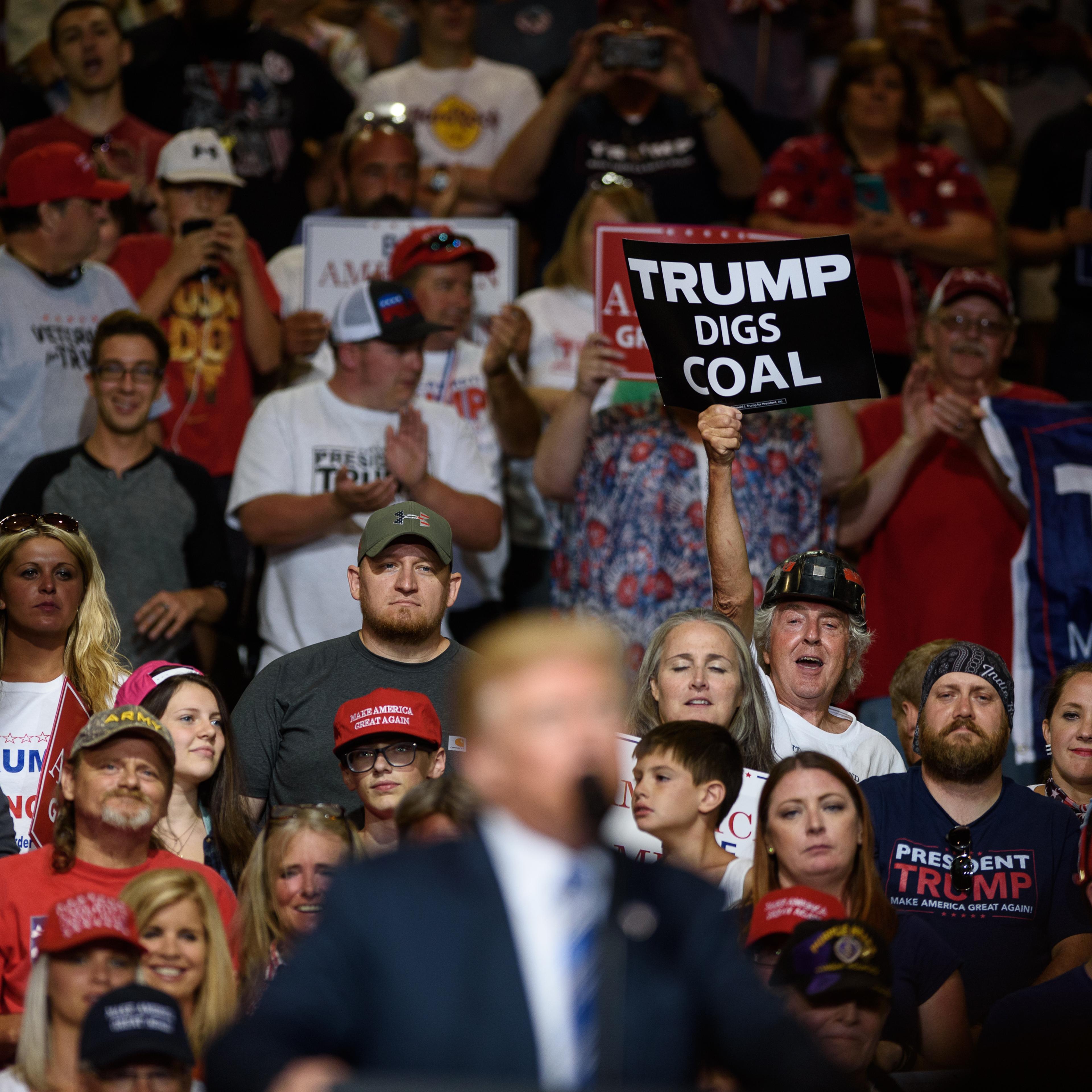 donald trump digs coal