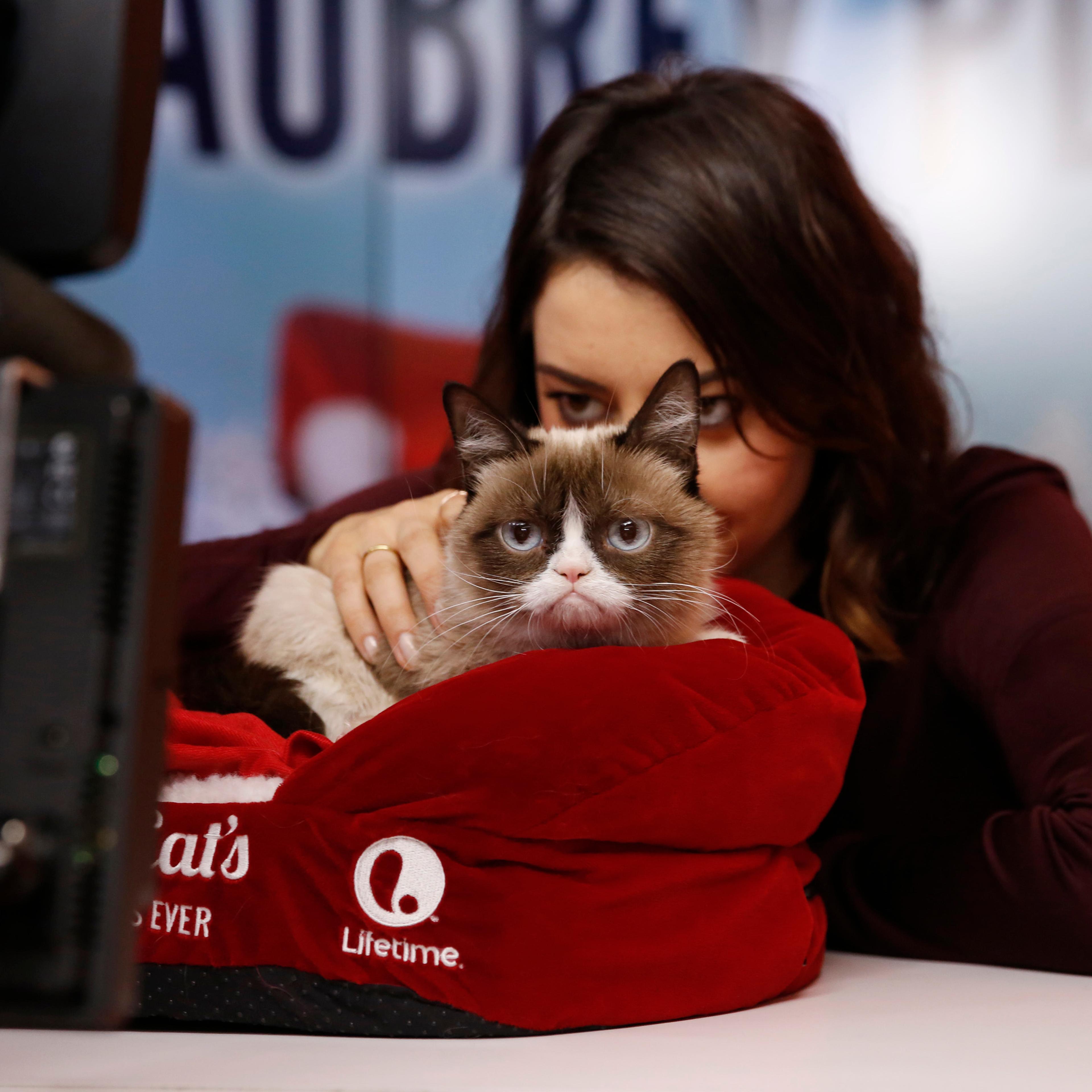 Aubrey Plaza and Grumpy Cat appear on NBC News' "Today" show on Nov. 24, 2014.