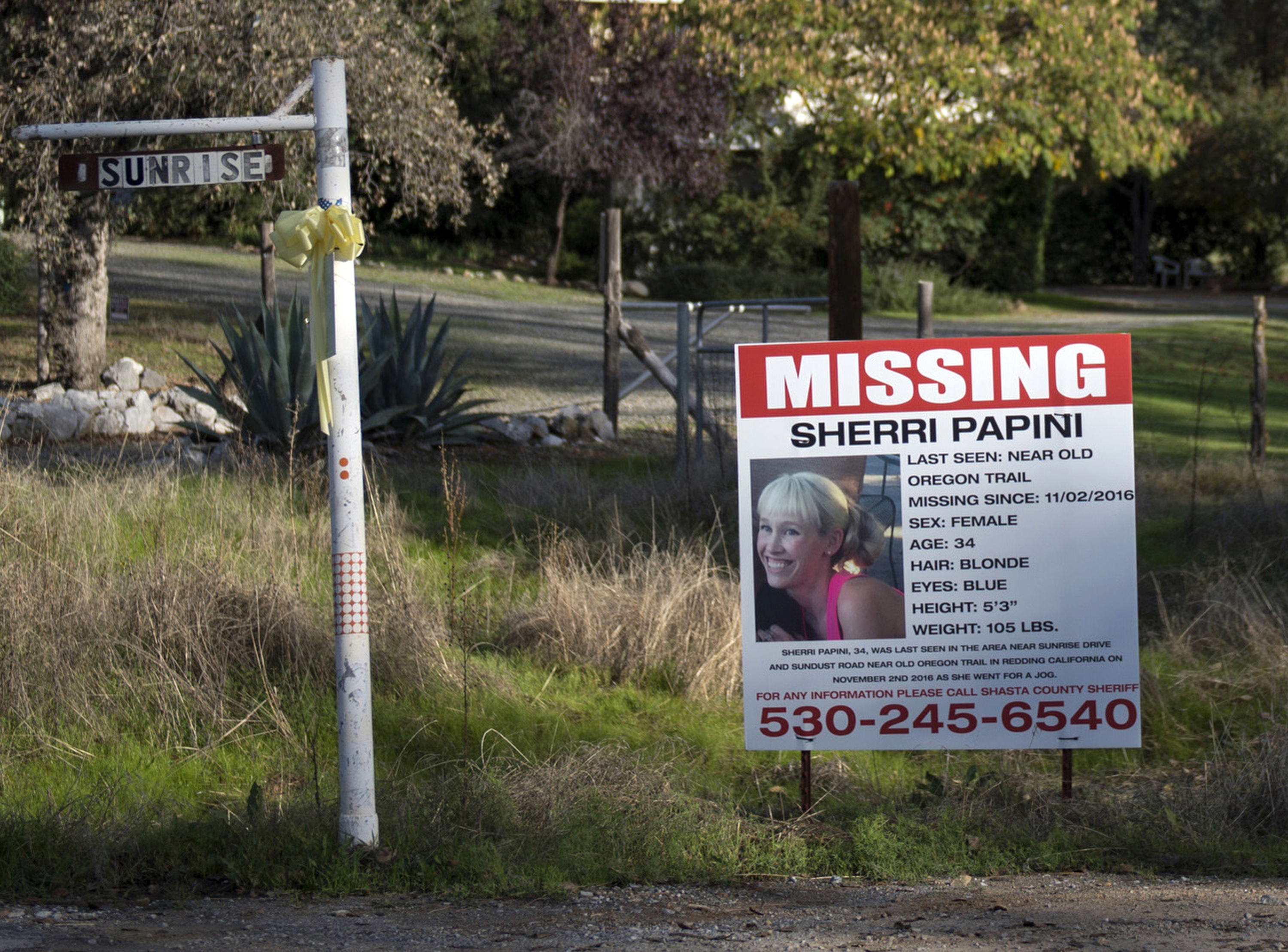 Mysterious Abduction Case