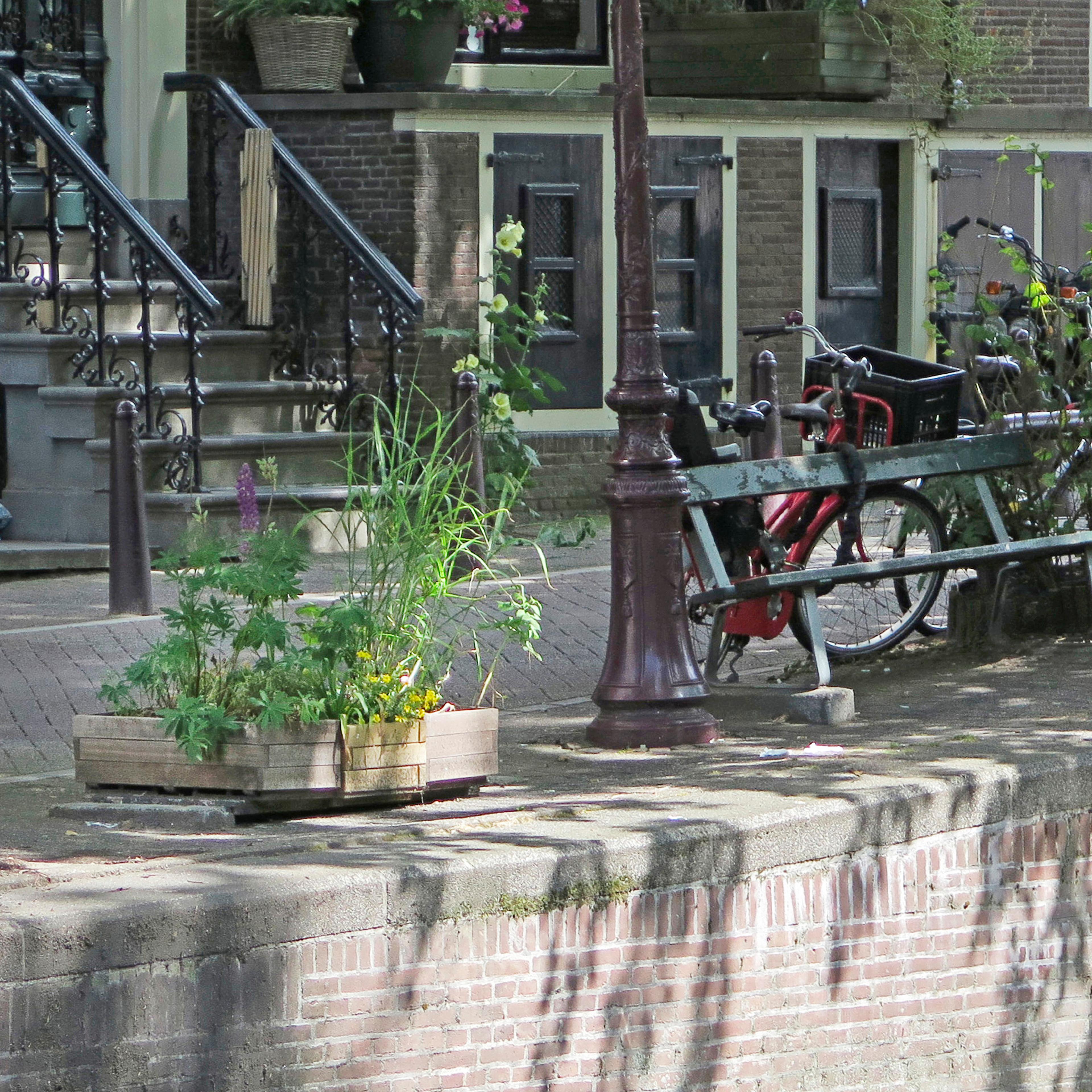 Netherlands Missing Bench