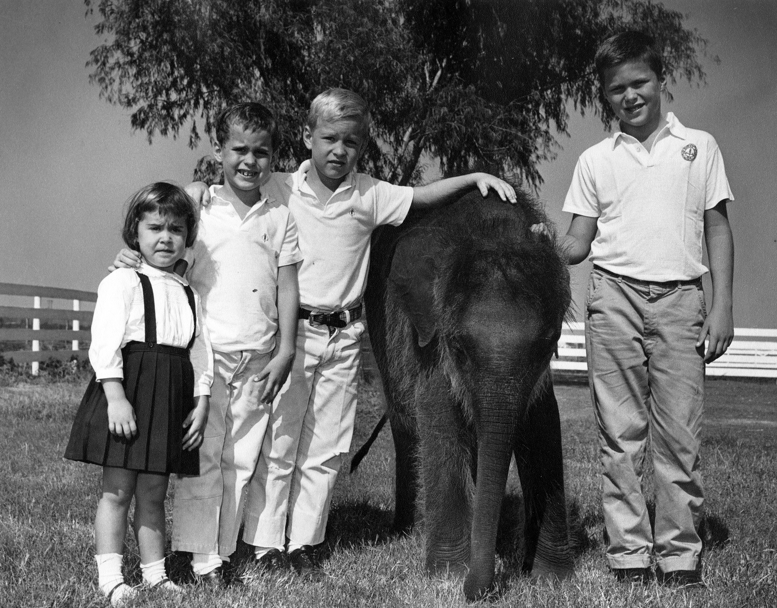 Jeb Bush Life in Photos