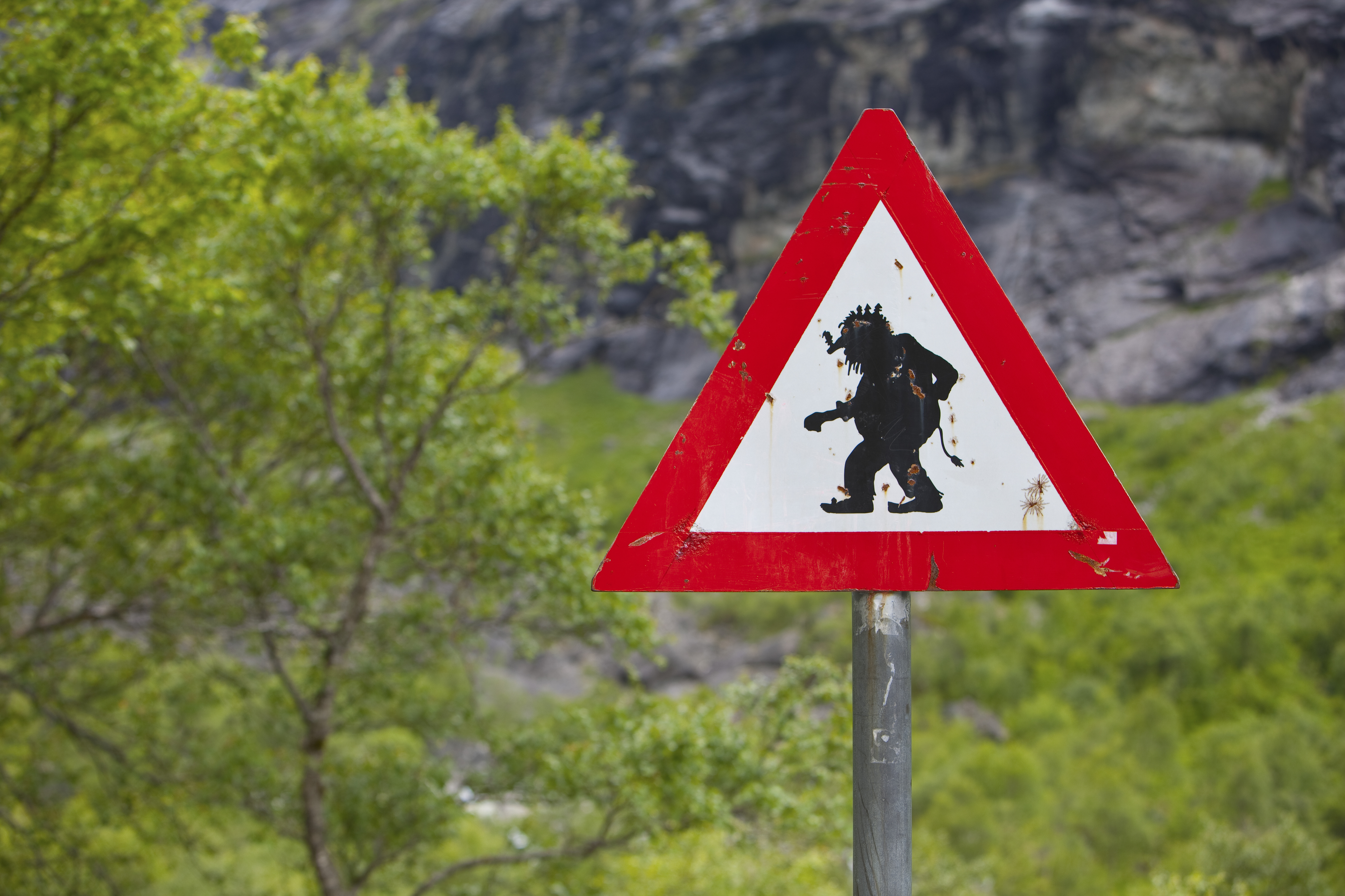 Troll sign