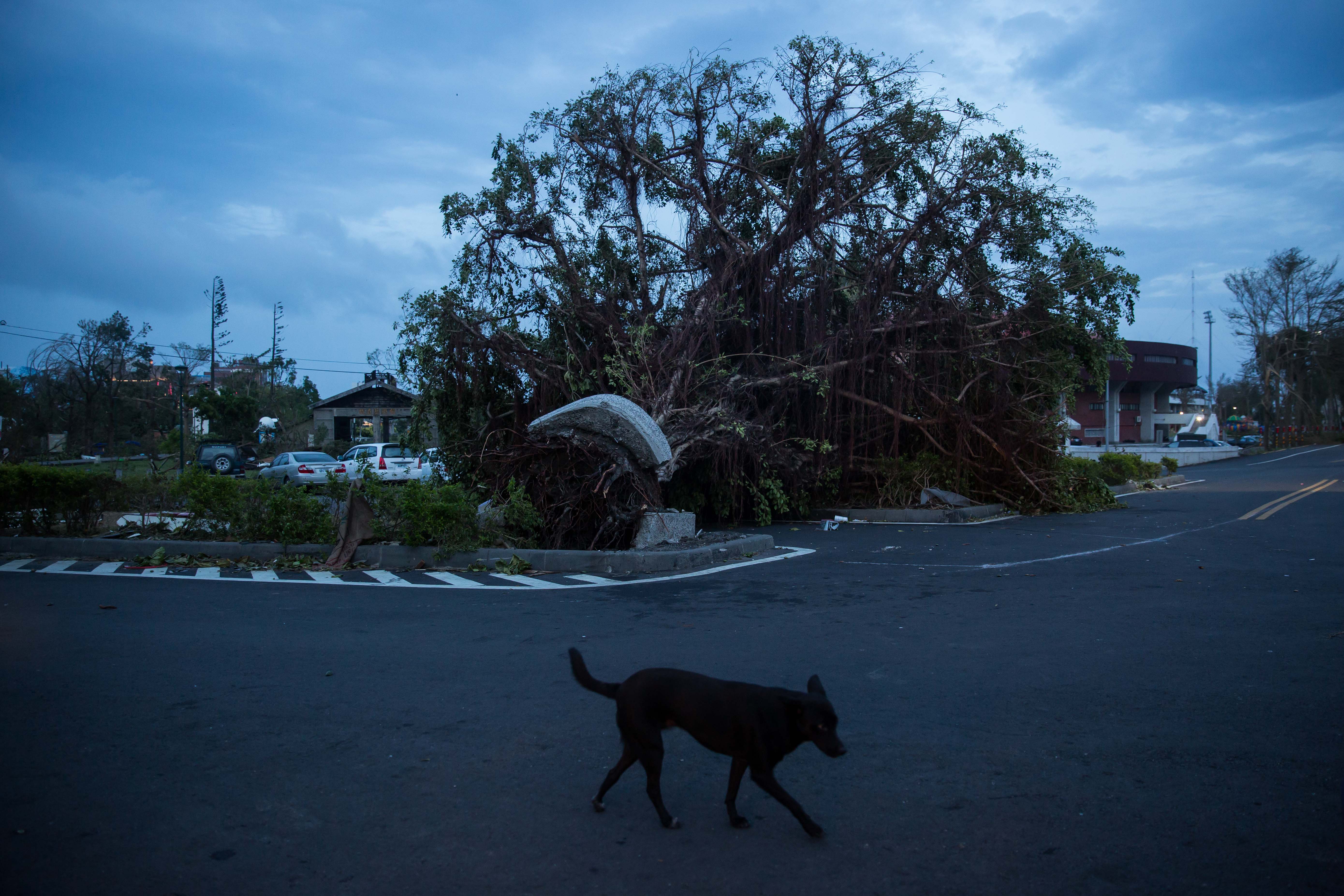Super Typhoon Nepartak Hits Taiwan
