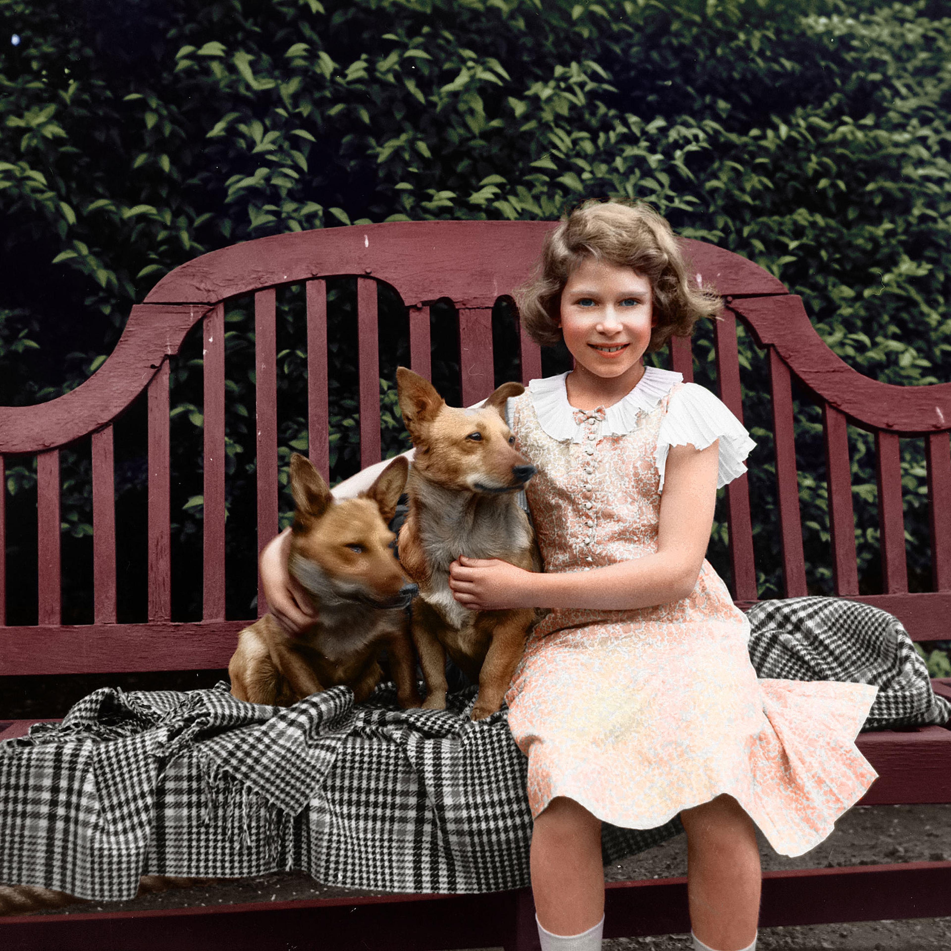 Princess Elizabeth sitting on a garden seat with two corgi dogs at her home on 145 Piccadilly, London. July 1936.