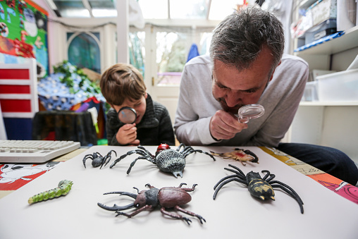 son-father-examine-insects