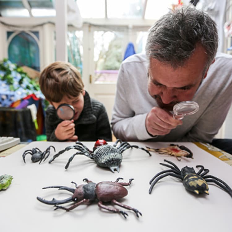 son-father-examine-insects