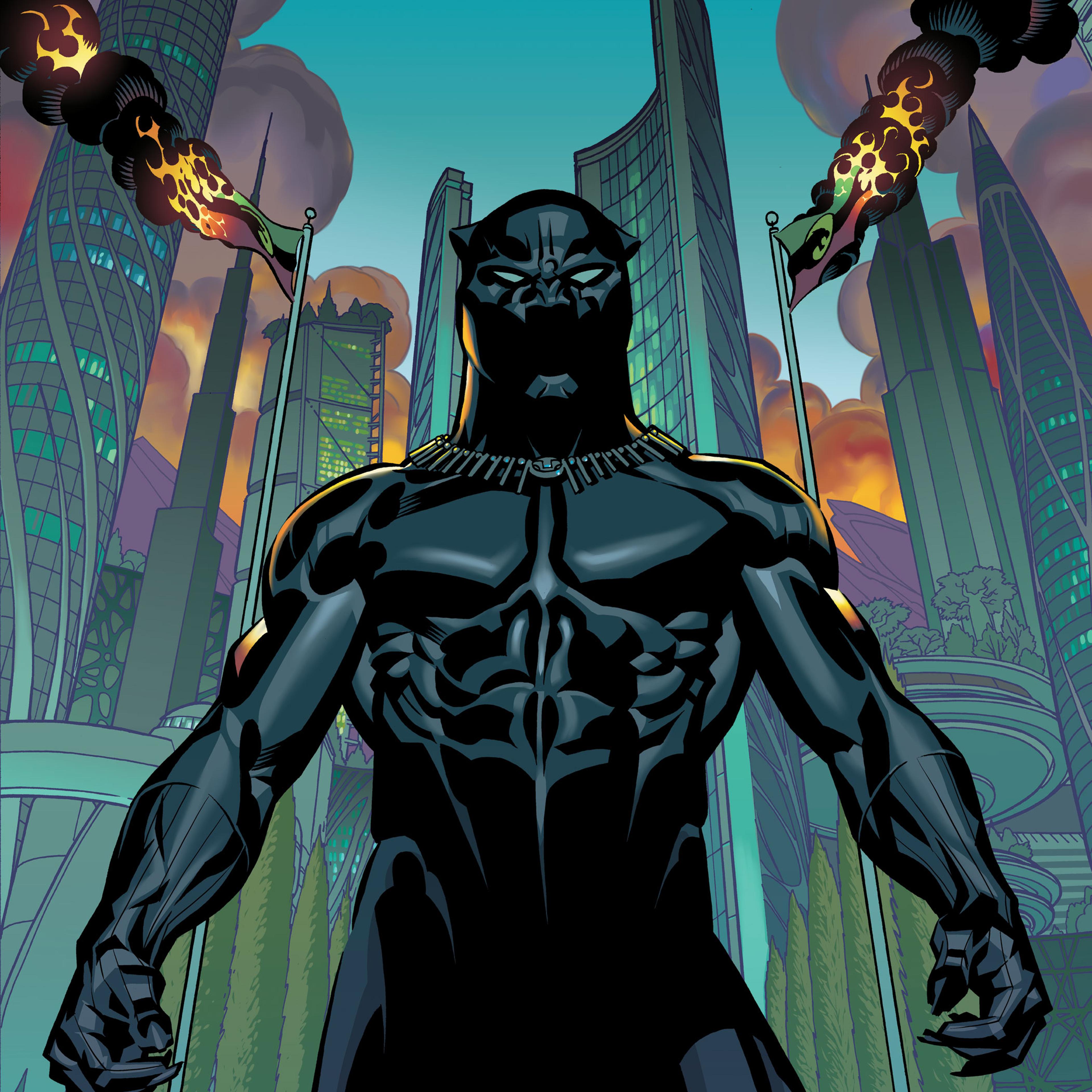 Black Panther No. 1 Cover drawn by Brian Stelfreeze