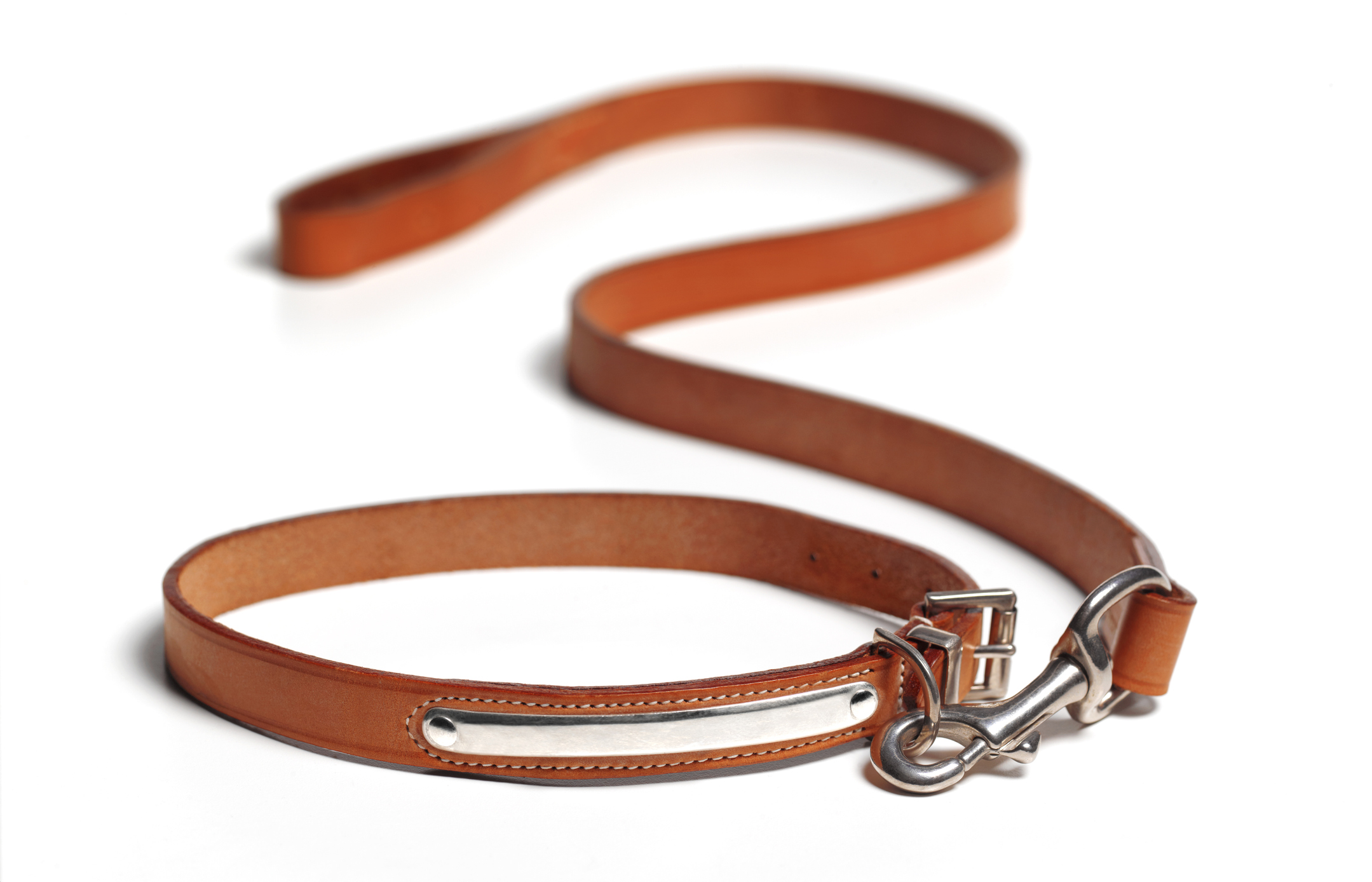 Cat leash