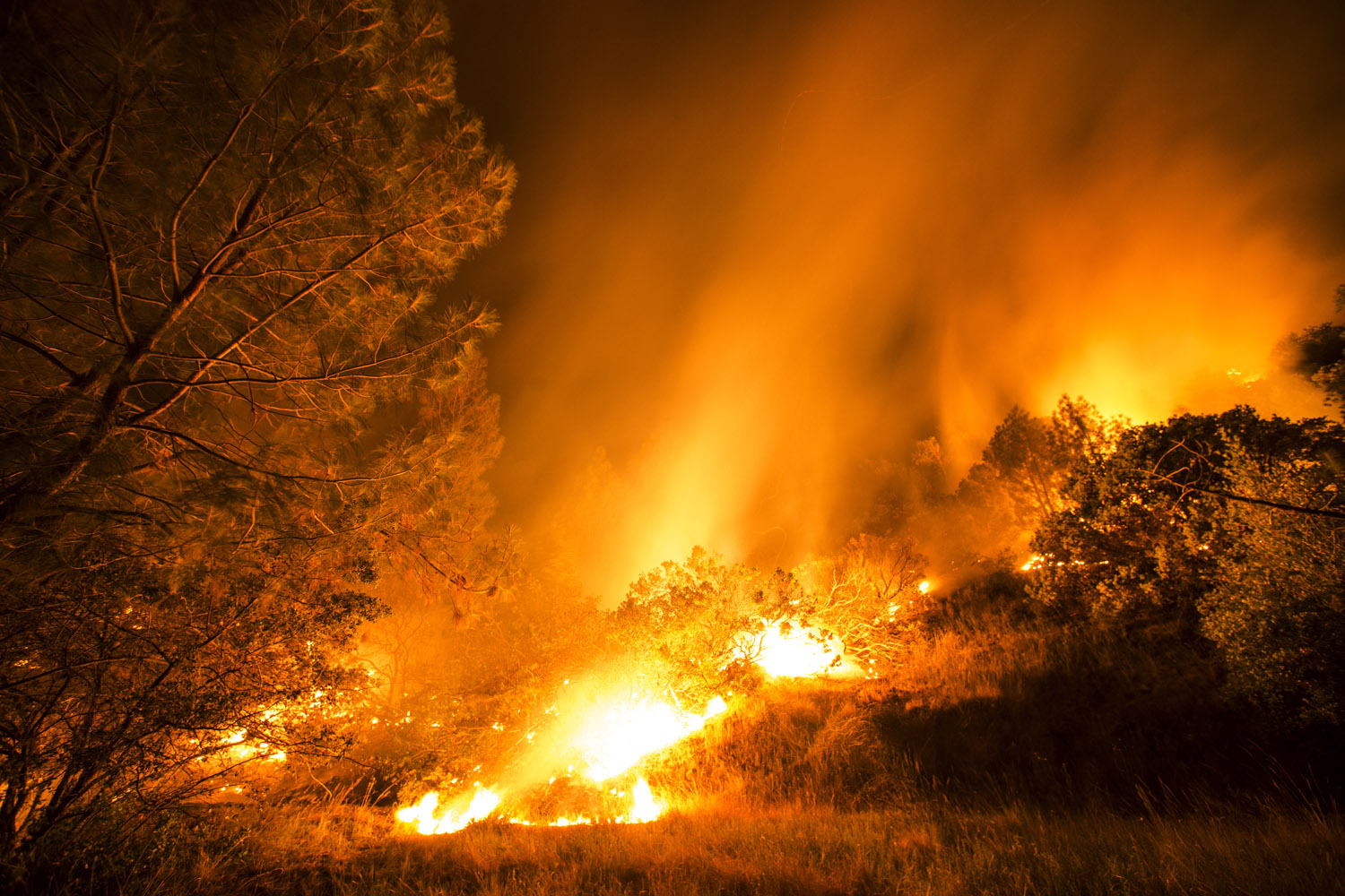 Chasing Blazes: Stuart Palley's Photos of Wildfires