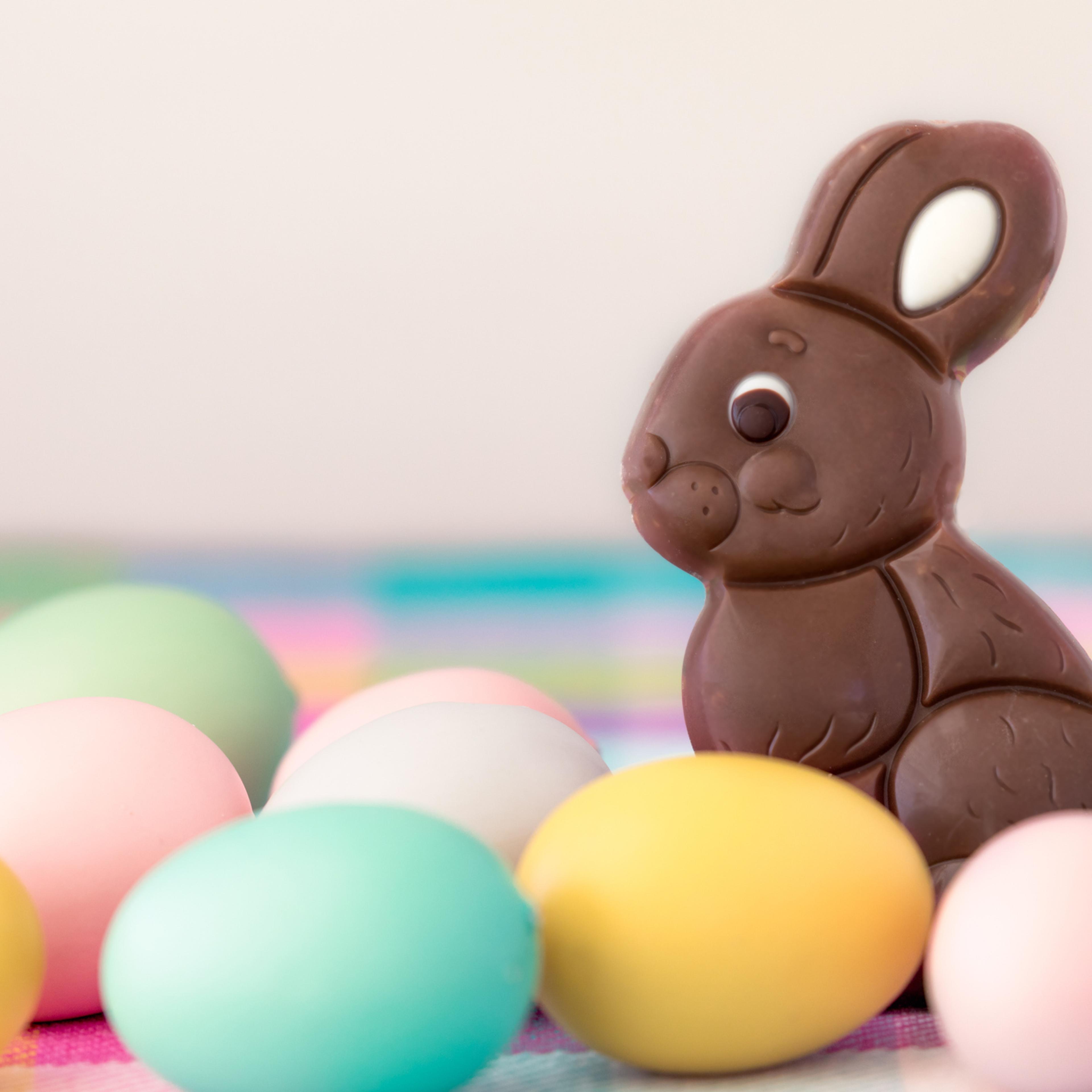 Chocolate Easter bunny