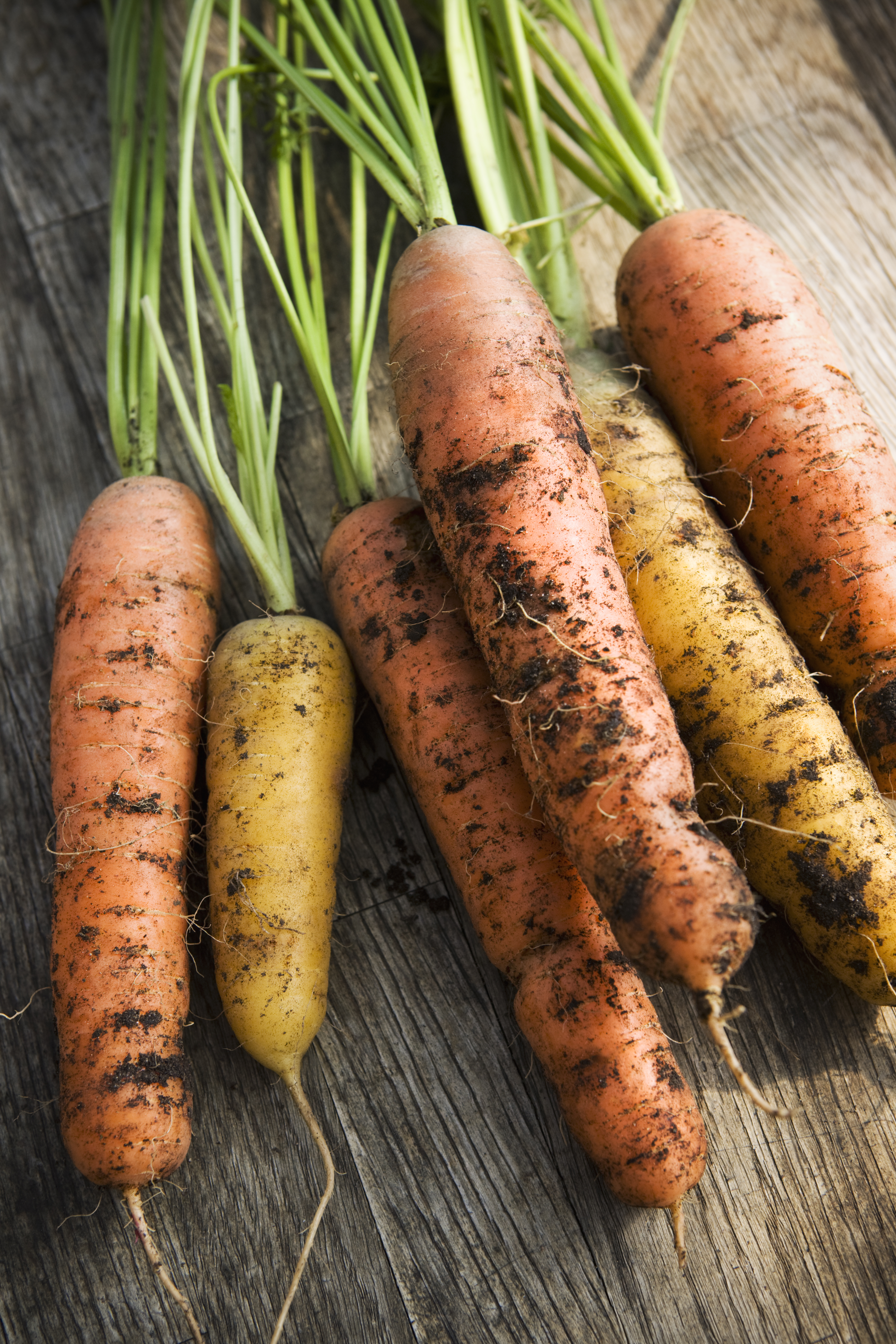 carrots-table