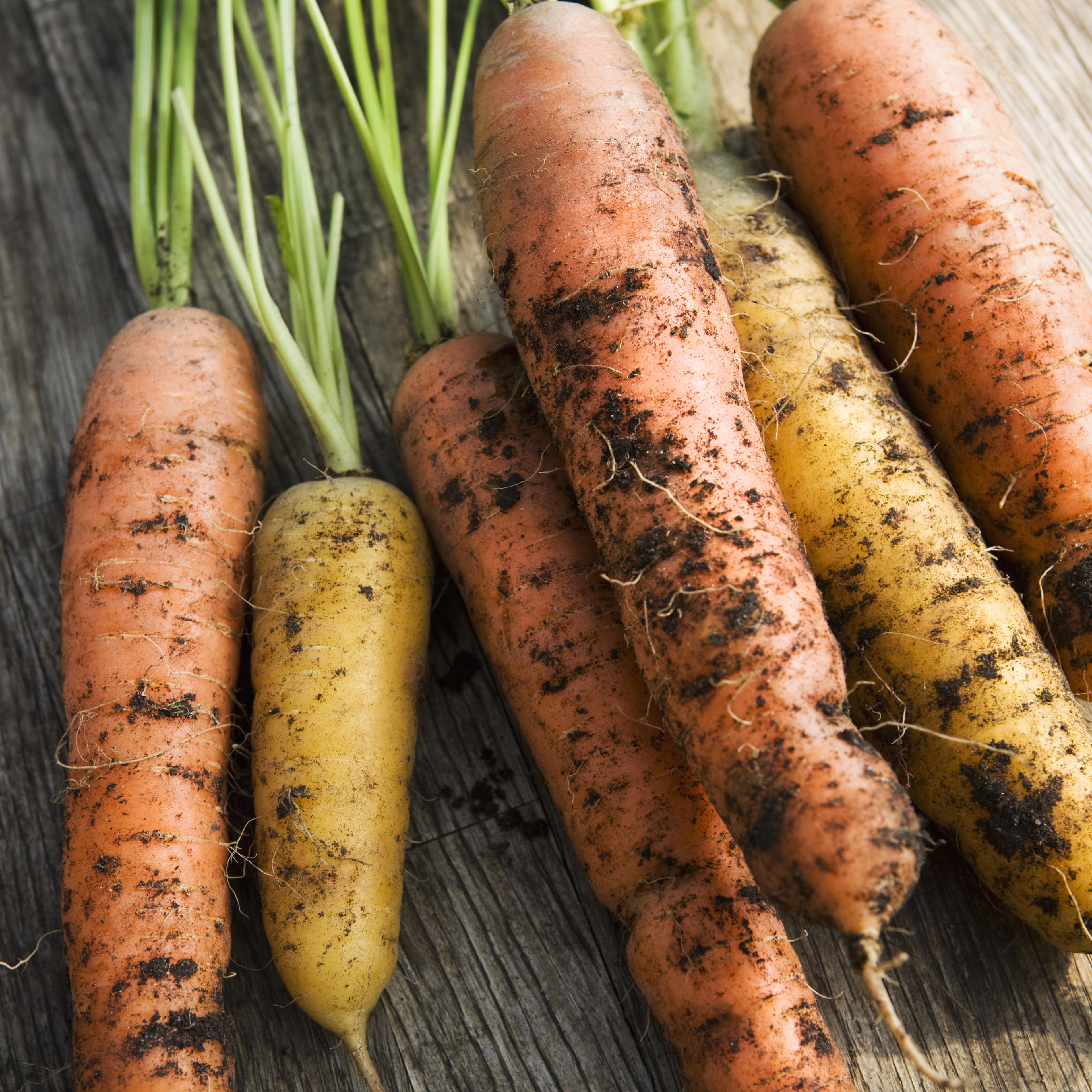 carrots-table