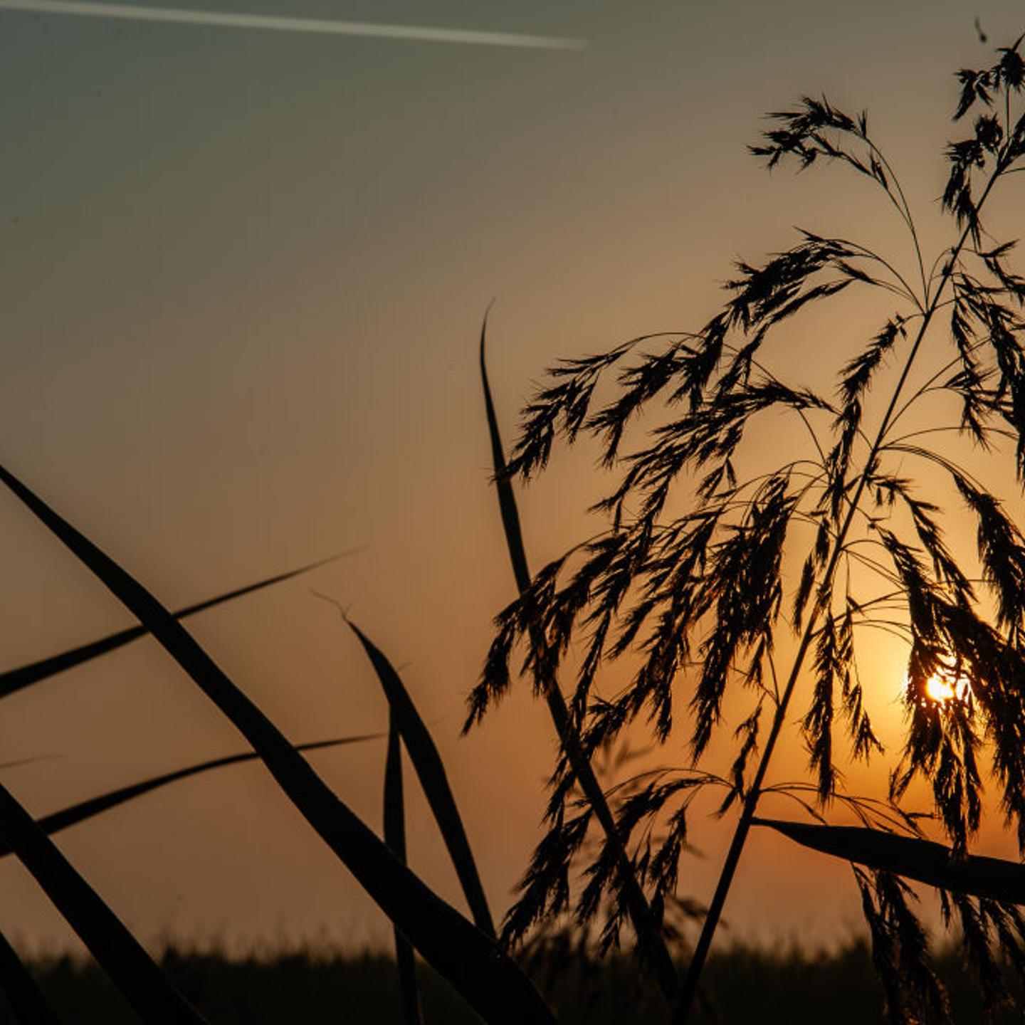 New Heat Record In The Netherlands