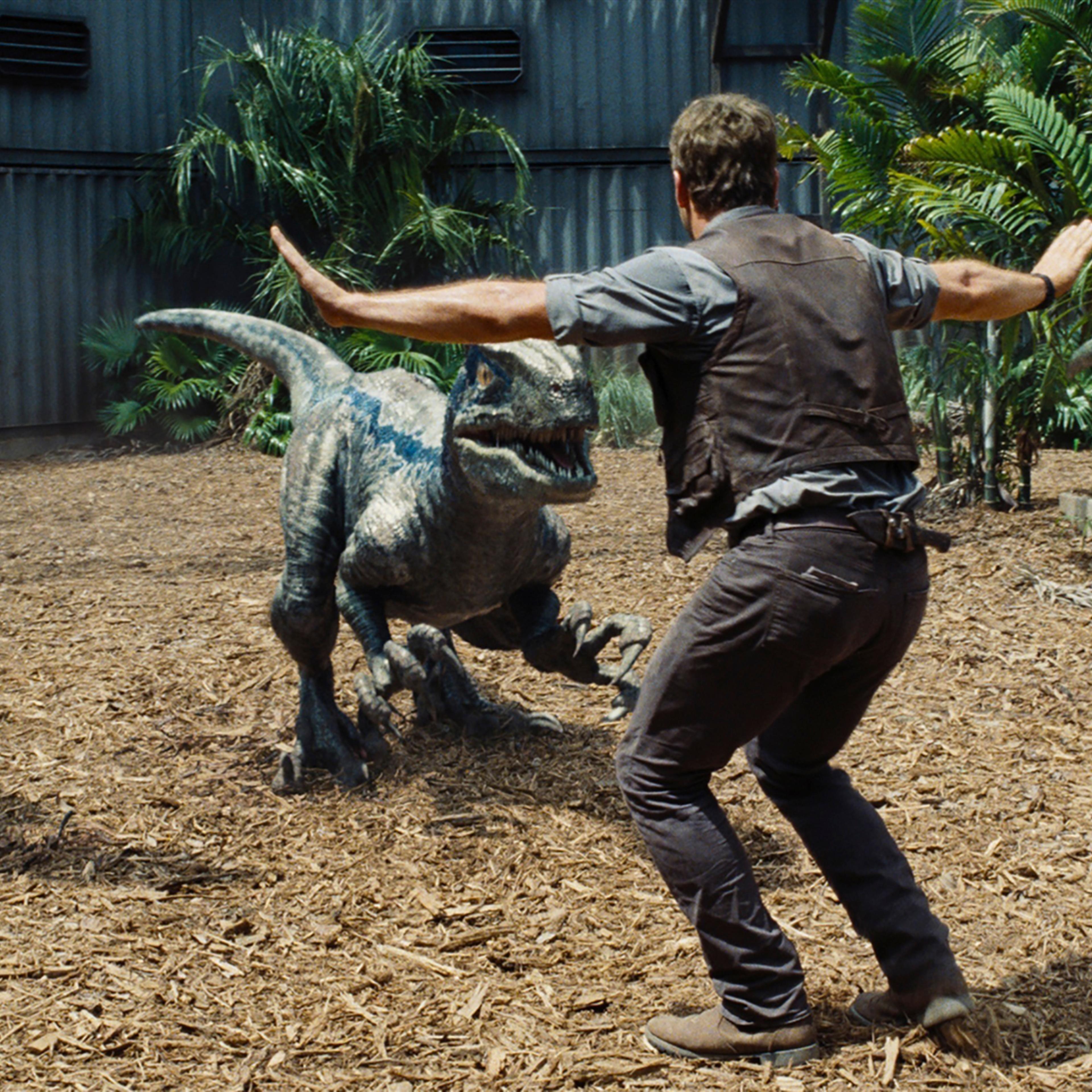 Chris Pratt as Owen in a scene from Universal Pictures' Jurassic World.