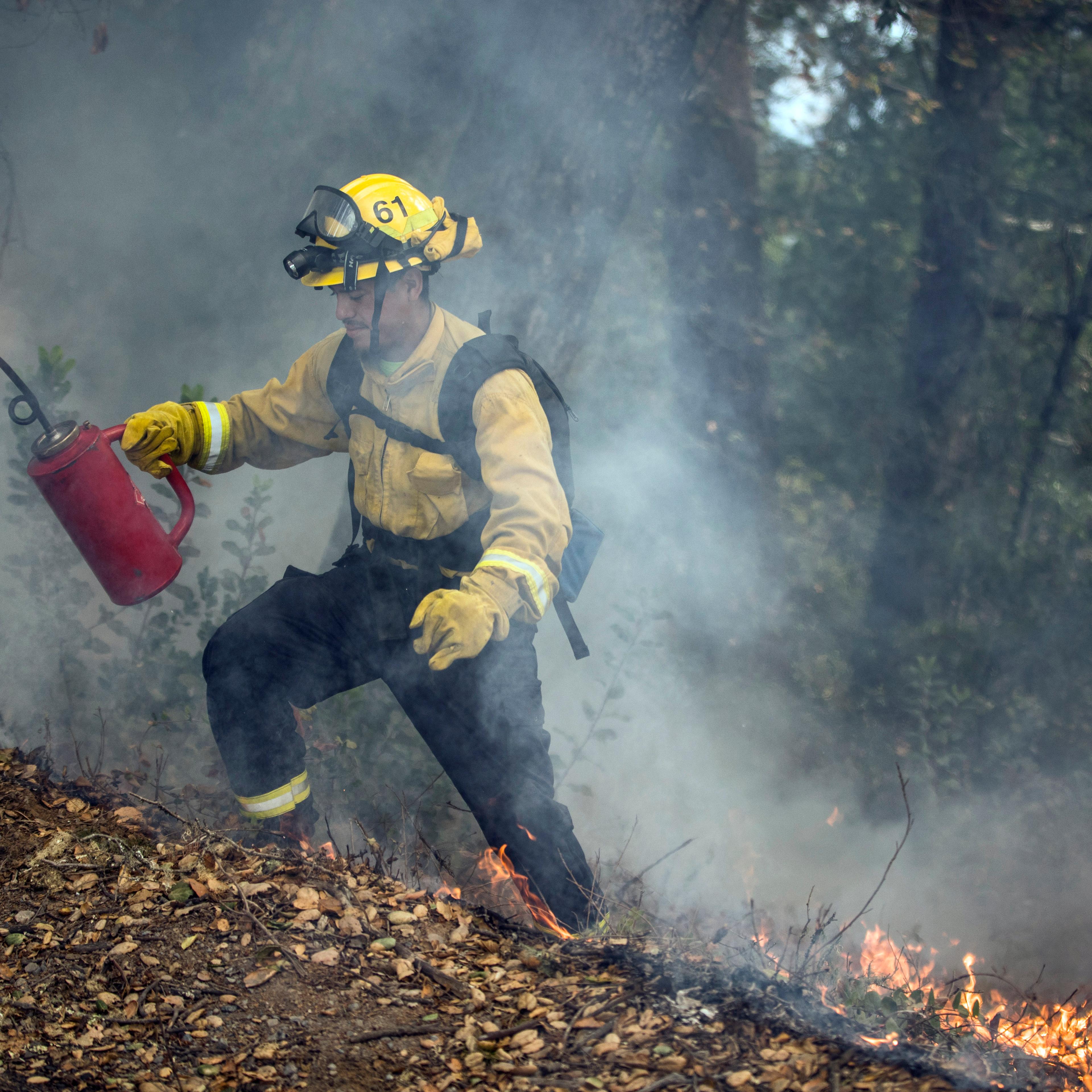 A firefighter ignites piled leaves and brush during a prescribed burn in Healdsburg, Calif., in Nov. 2020.