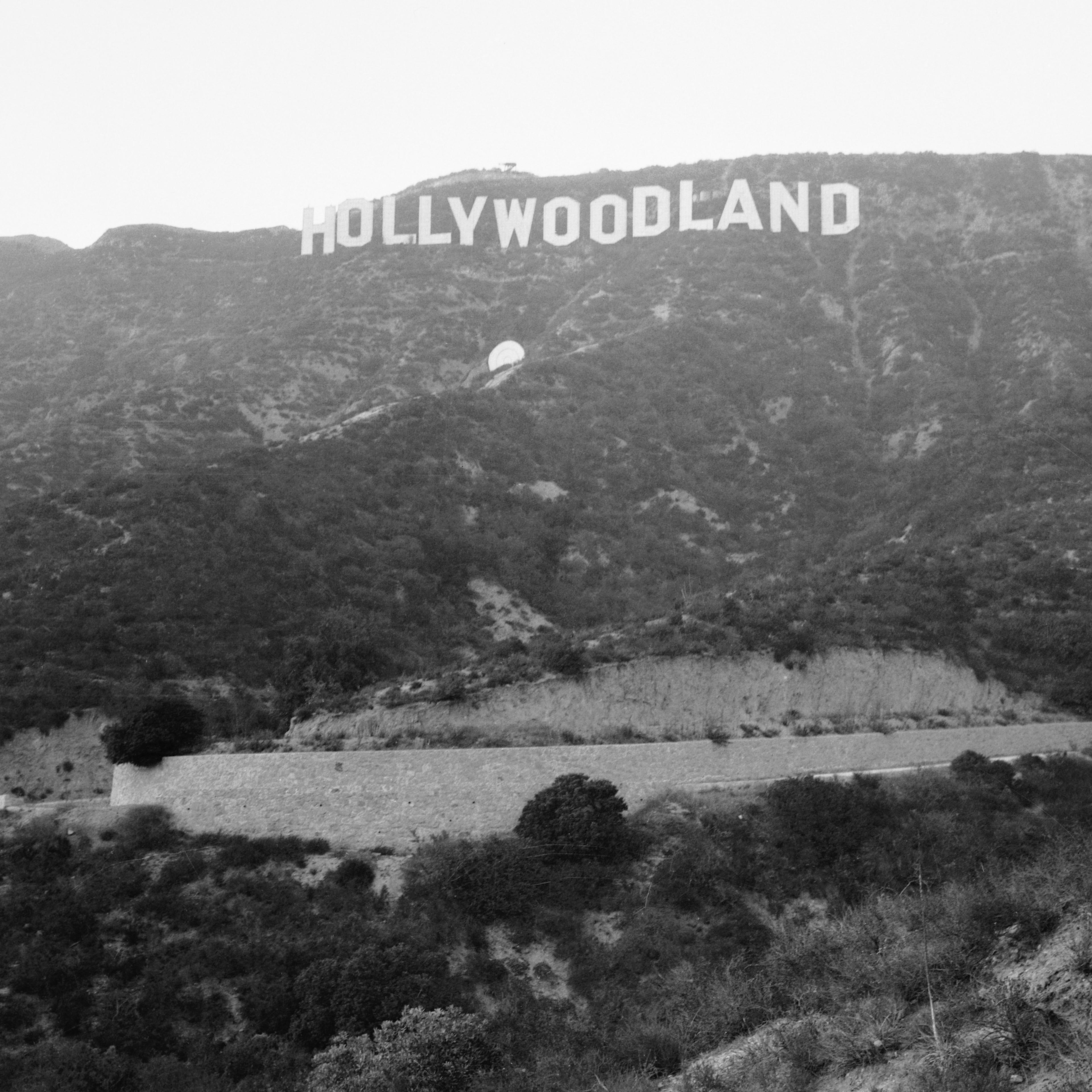 Hollywood Sign Area a Suicide Site