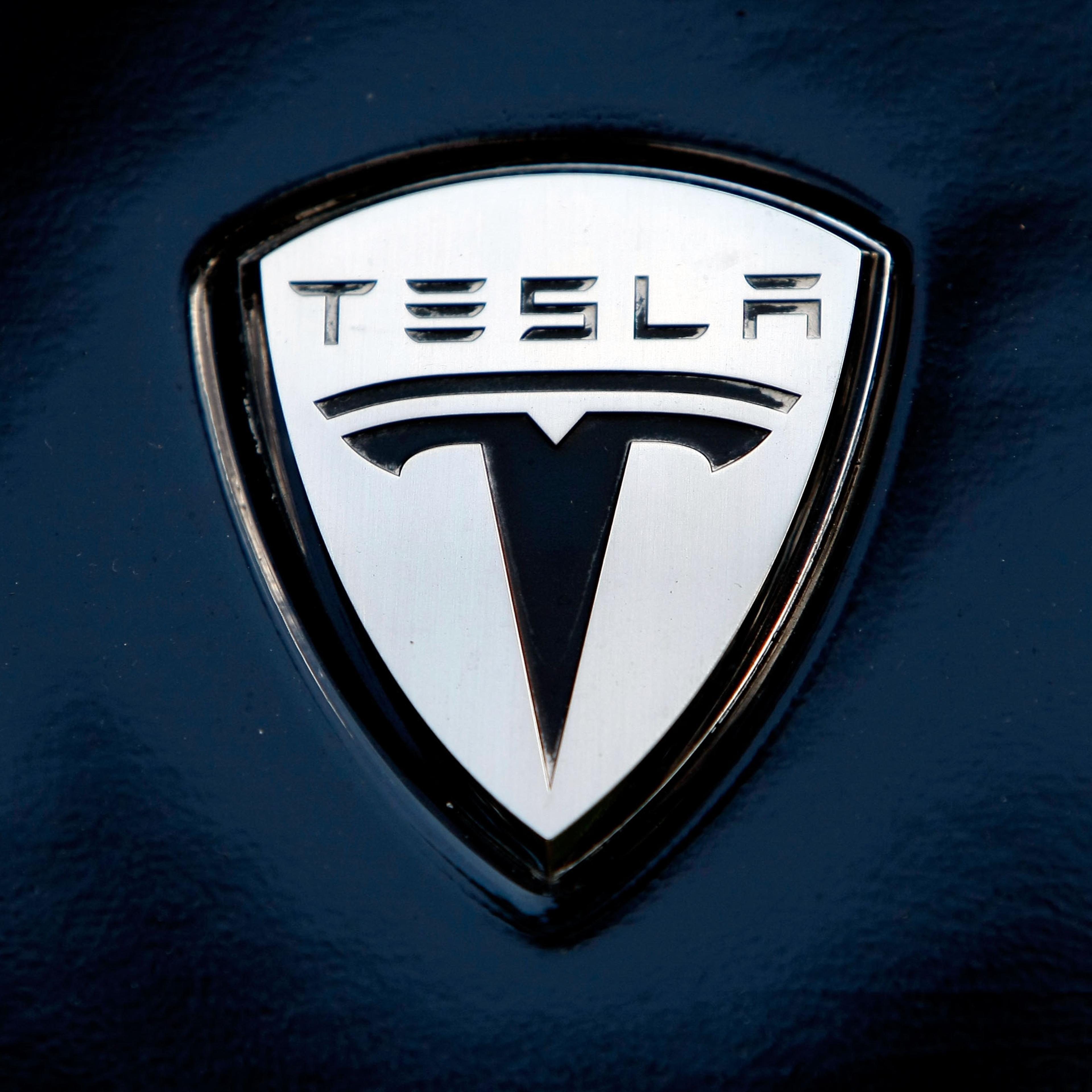 The Tesla electric car logo is shown during a display of alternative energy vehicles on Capitol Hill June 12, 2008 in Washington, DC.