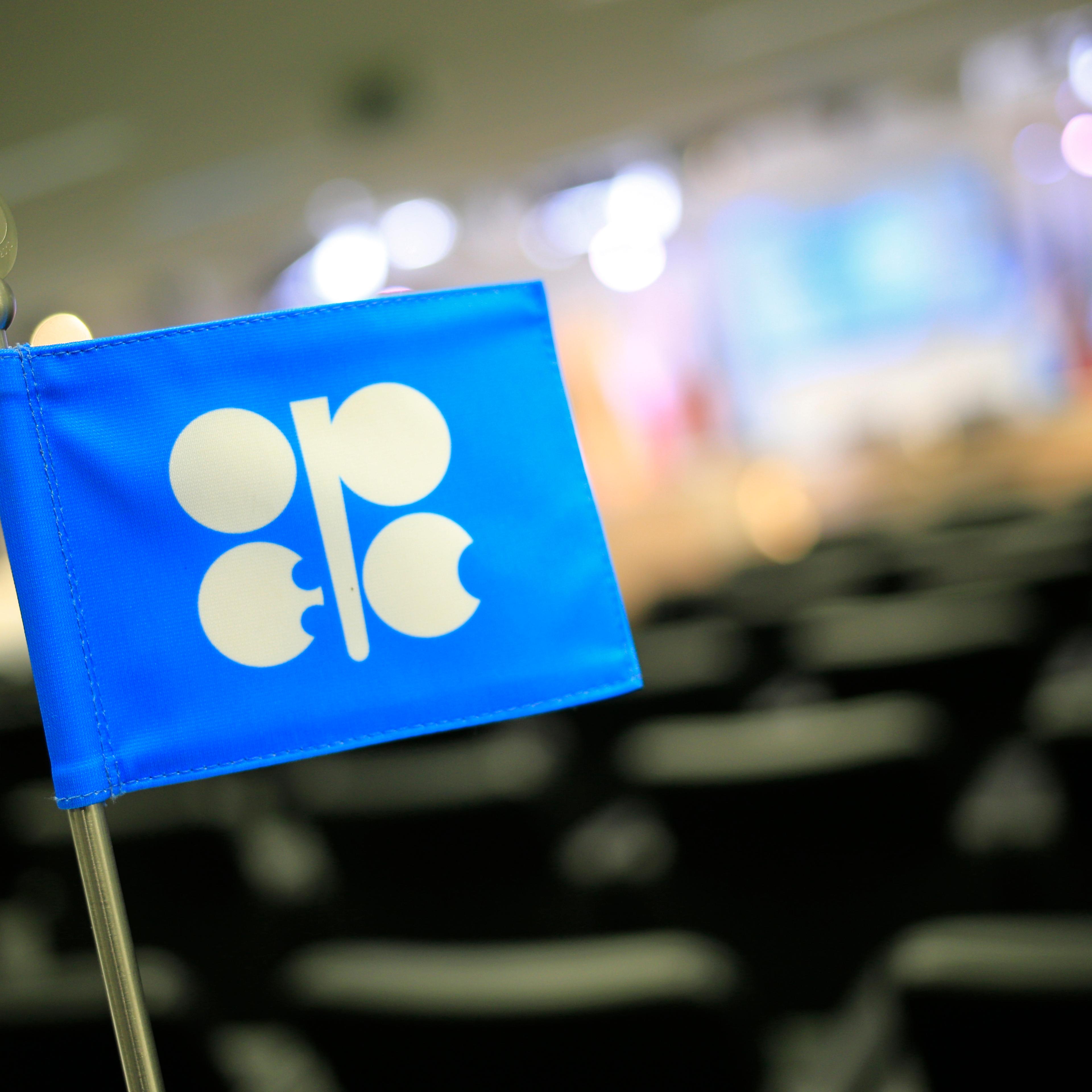 The OPEC (Organization of the Petroleum Exporting Countries) flag at the 164th OPEC meeting in Vienna on Dec. 3, 2013.