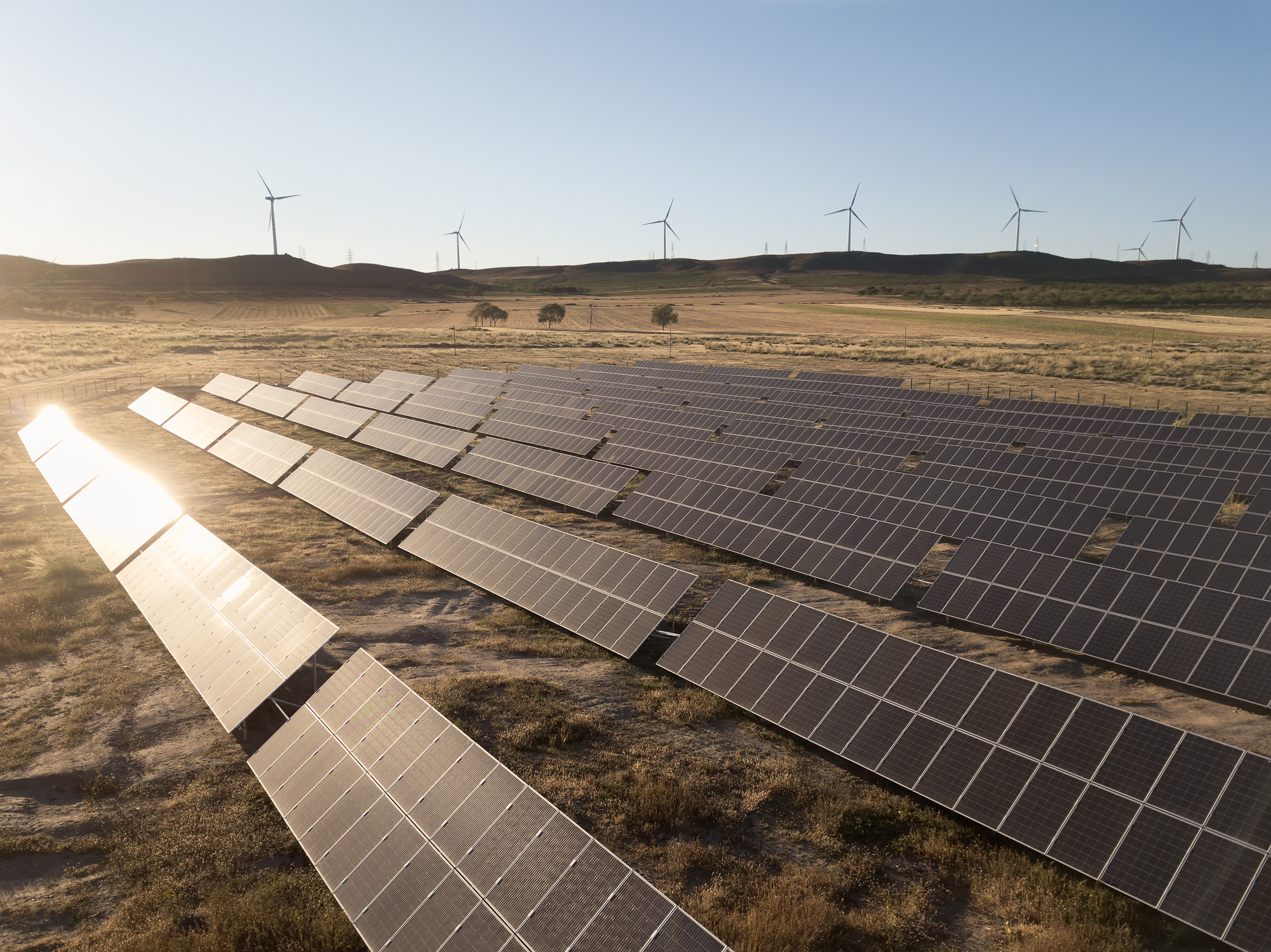wind turbines and solar plants