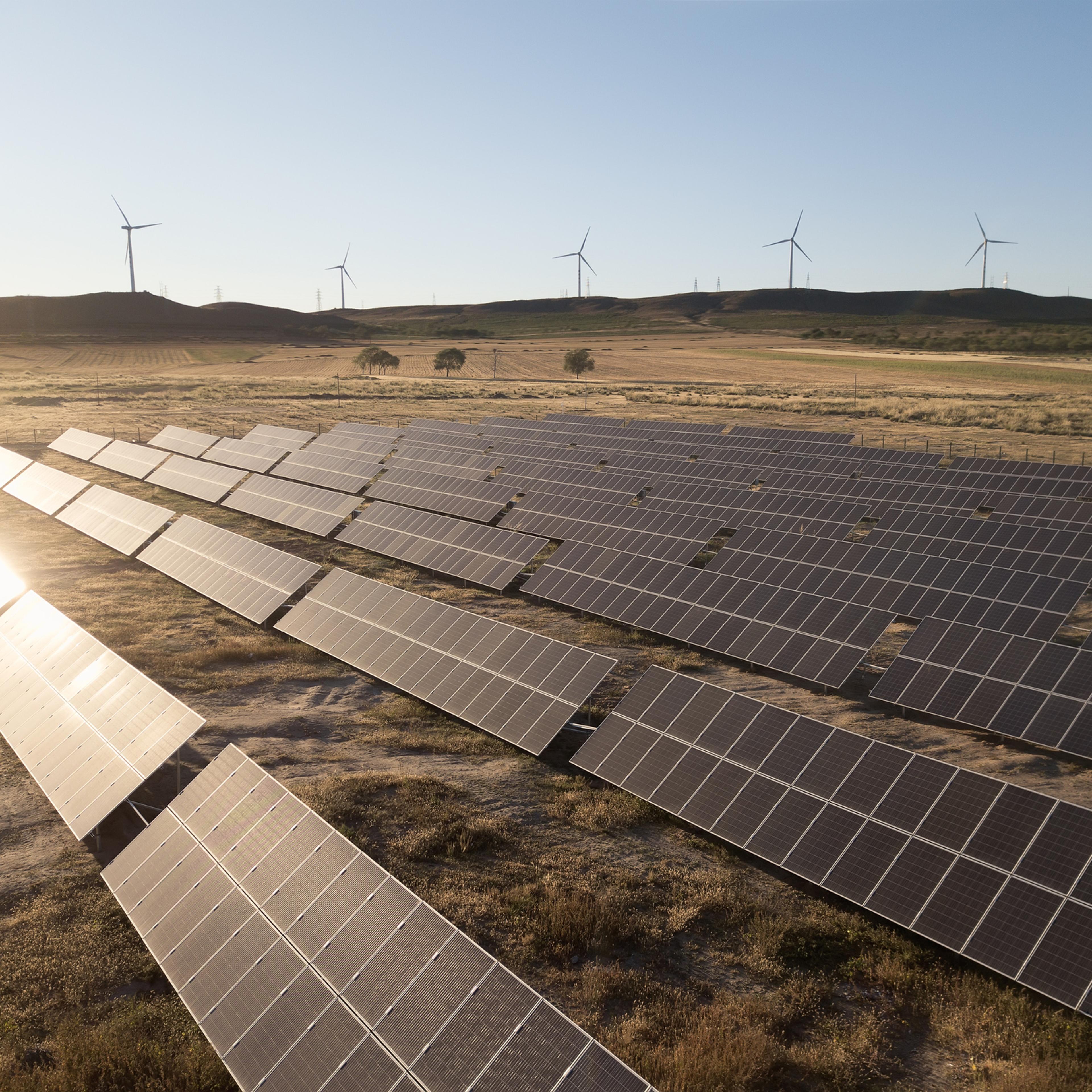 wind turbines and solar plants