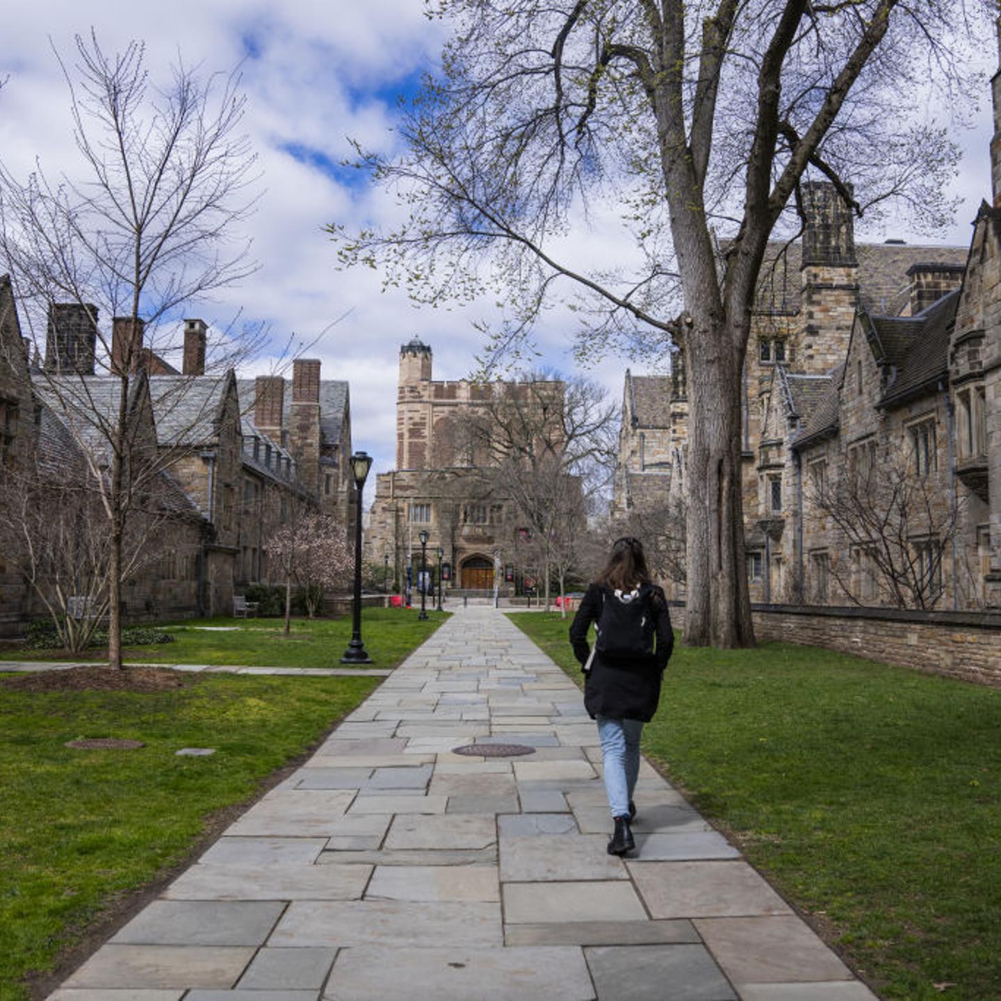 Library Walk at Yale University