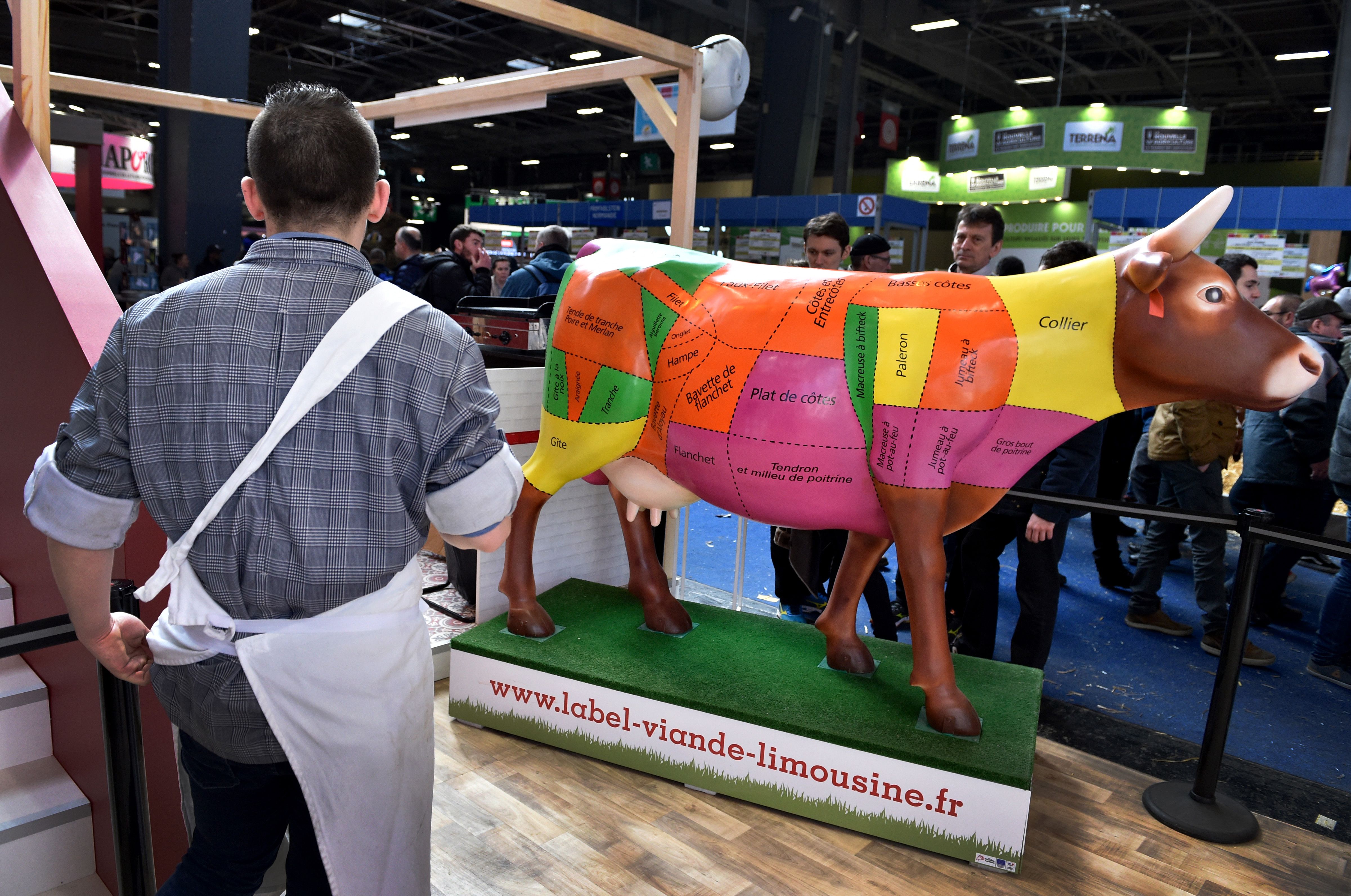 FRANCE-AGRICULTURE-FAIR