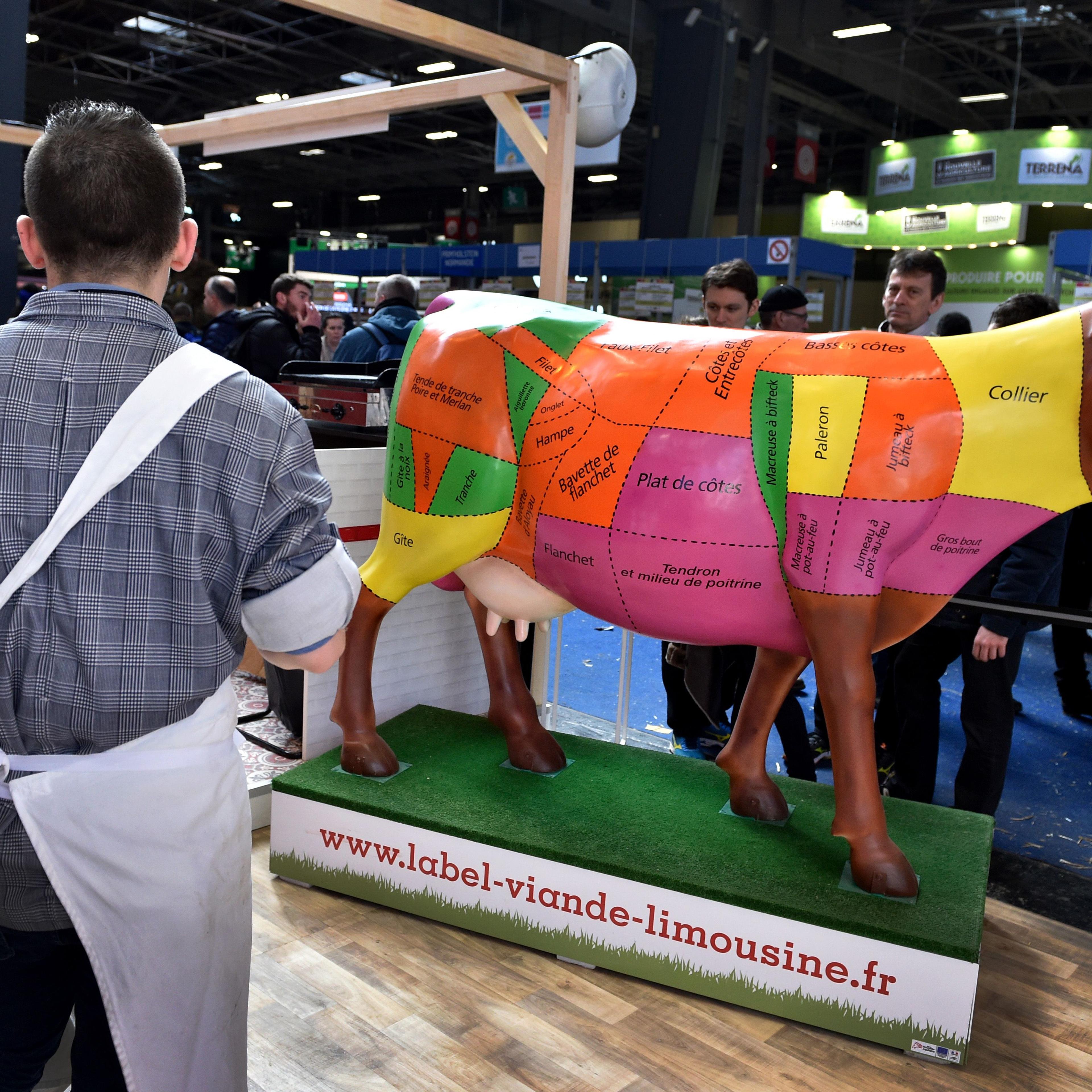 FRANCE-AGRICULTURE-FAIR