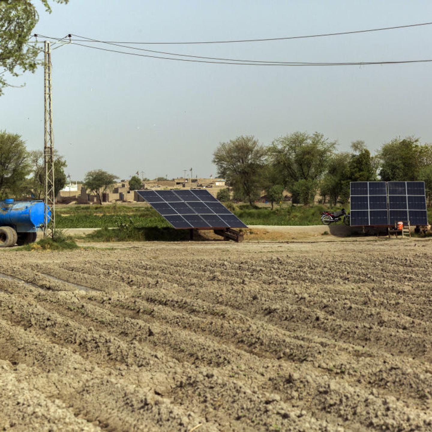 A $30 Billion Disaster Is Just the Tip of a Deadly Climate Cycle