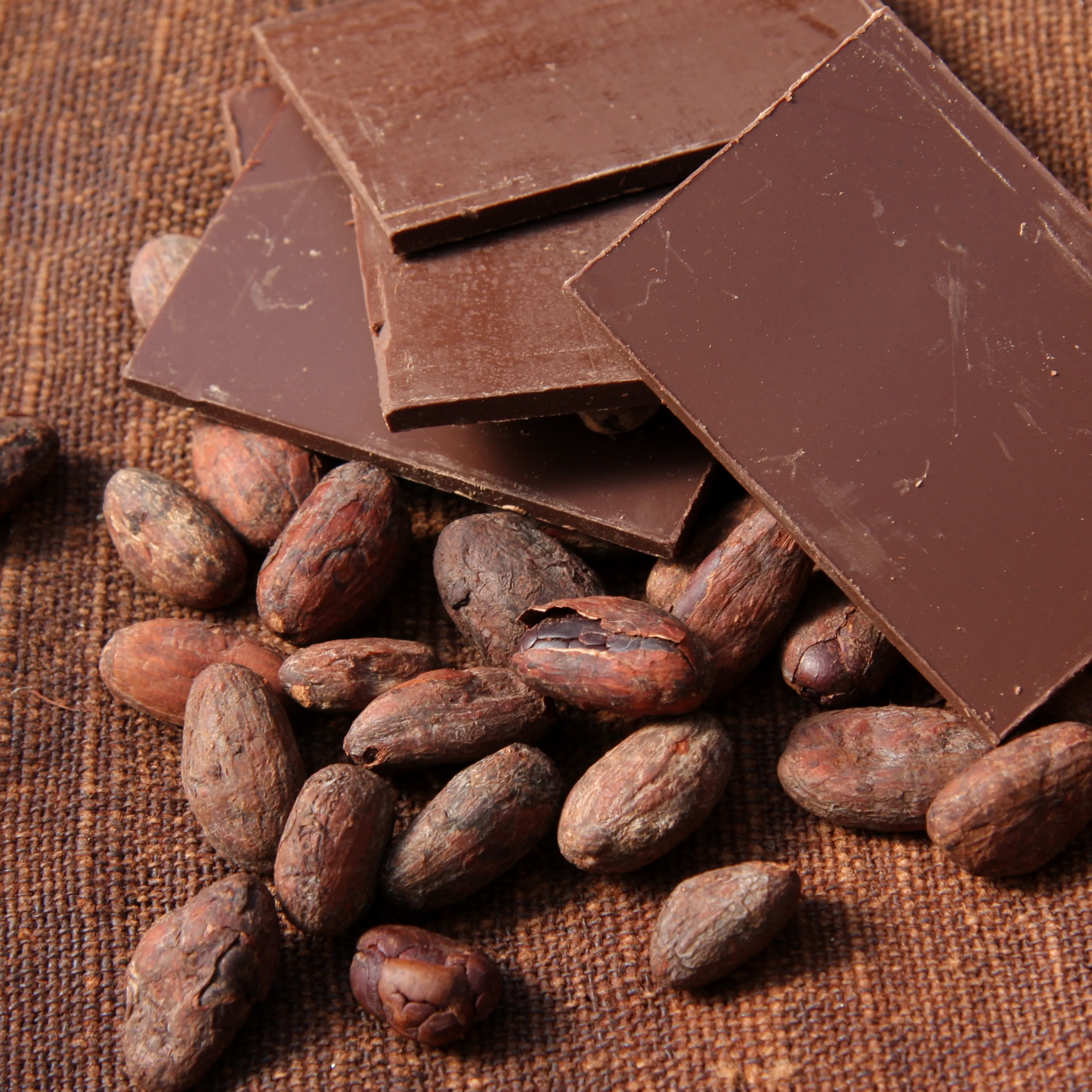 Chocolate and cocoa beans