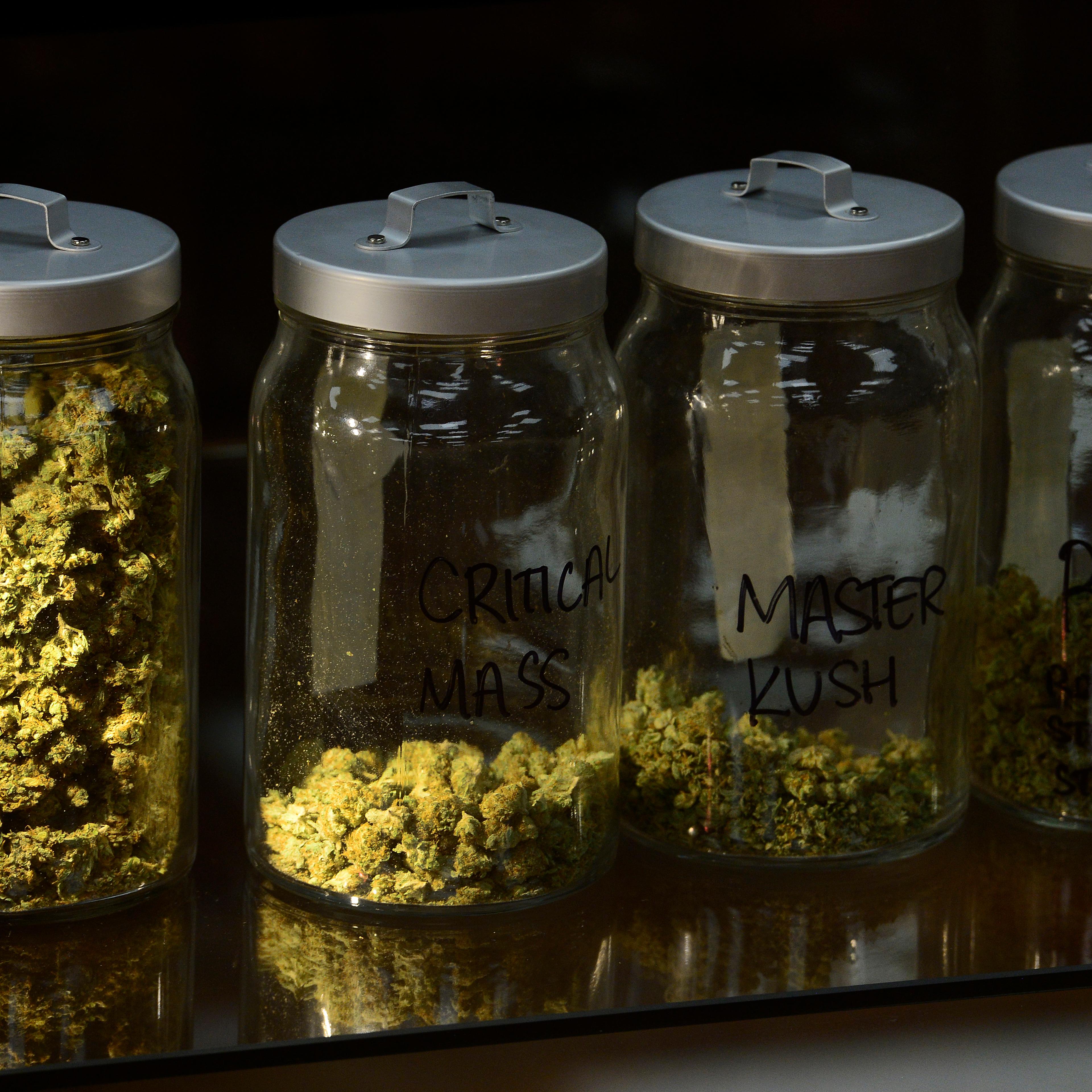 Federal Heights medical marijuana
