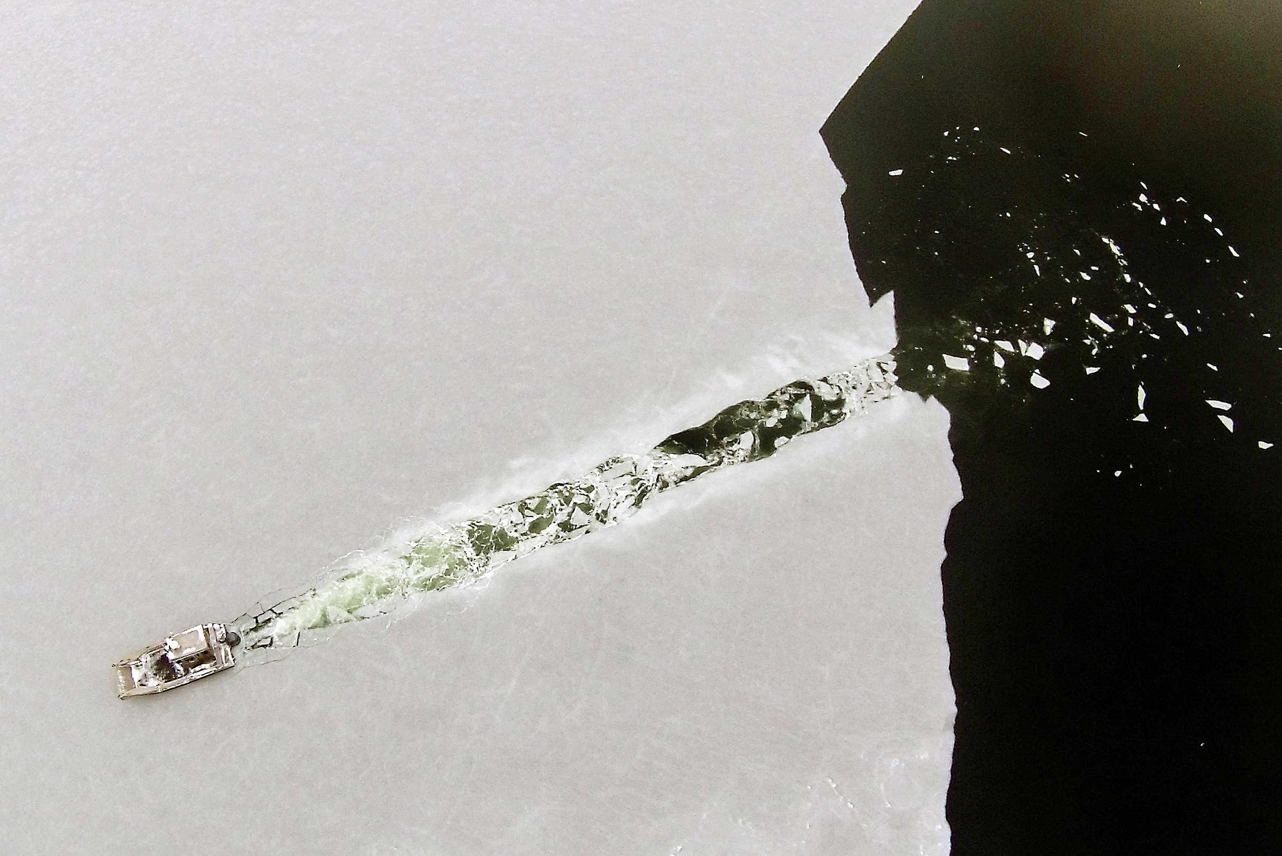 The Best Pictures of the Week: Feb. 6 – Feb. 13