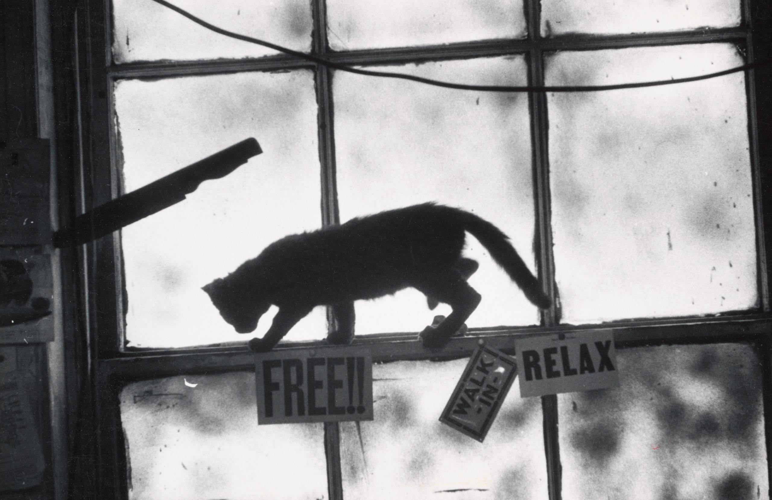 【W. Eugene Smith ：and the Photographic 】 The Jazz Loft According to W. Eugene Smith: See the Photos